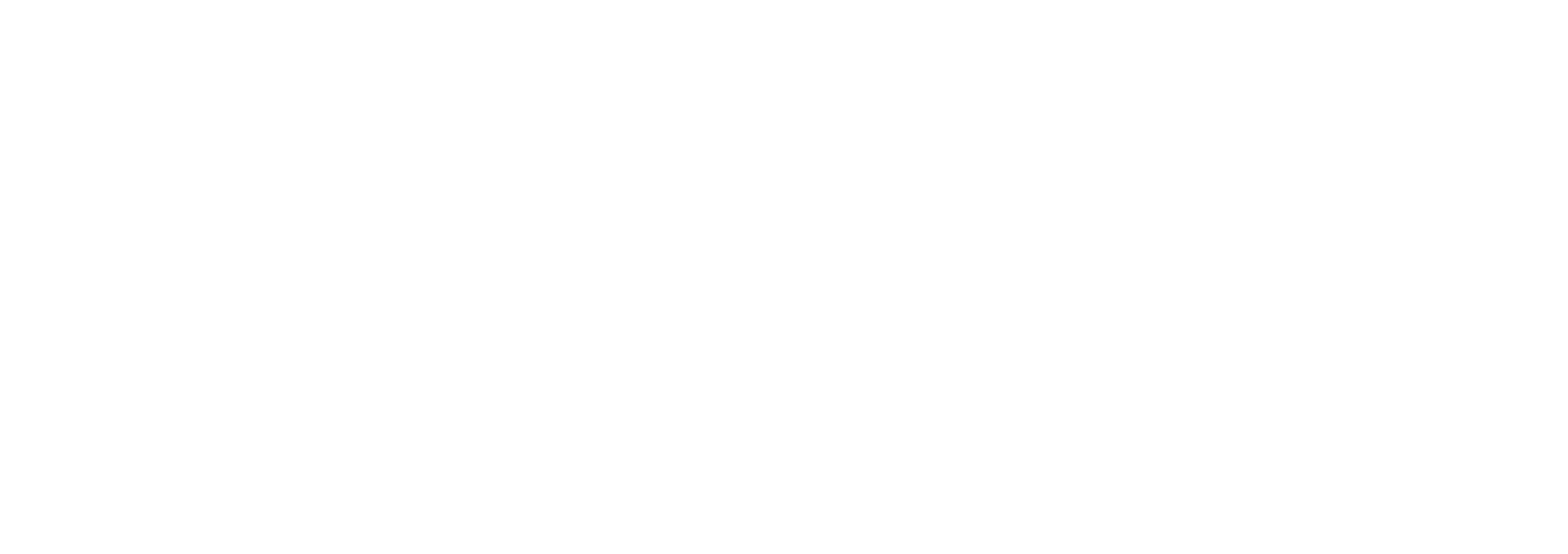 SNW.png