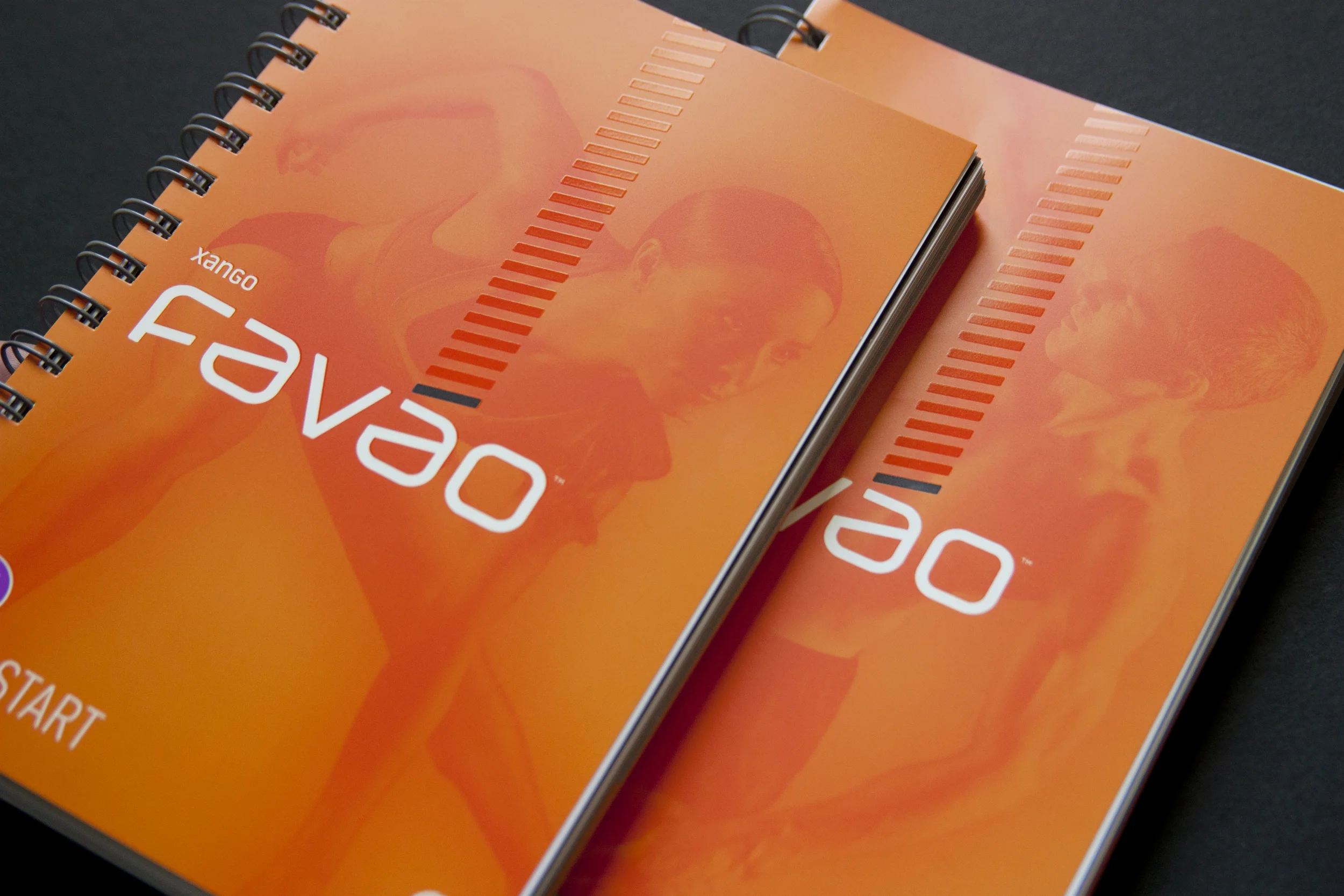 favao.4.jpg