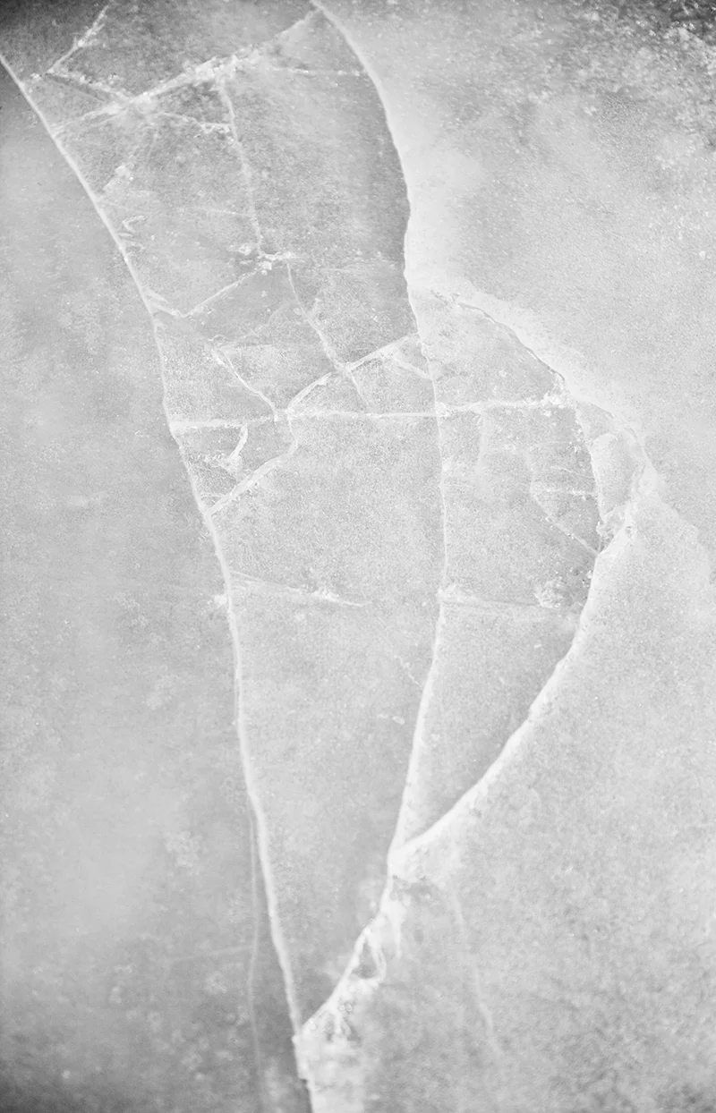 COMITA_150313_TWISTEDLAMB_DETAILS-012_A.jpg