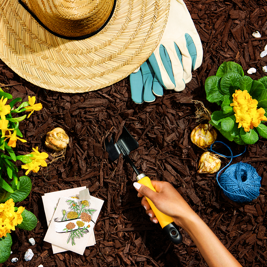 Synchrony Bank_POV_Spring Gardening_v5.png