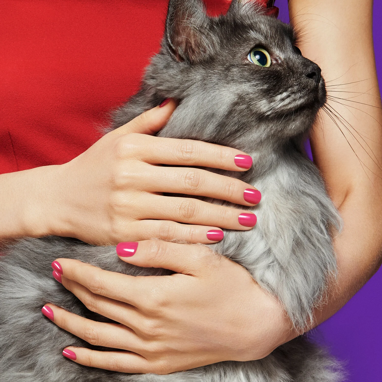 Campaign_AllOutDiva_YUQI_KittyLove-055-Edit4.jpg
