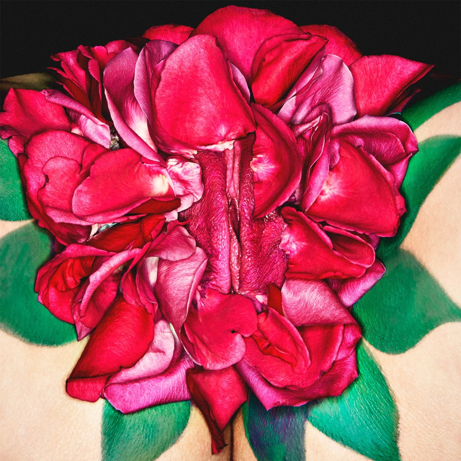 Comita_131227_PIYALI_108Vaginas_01-Roses_011_A.jpg