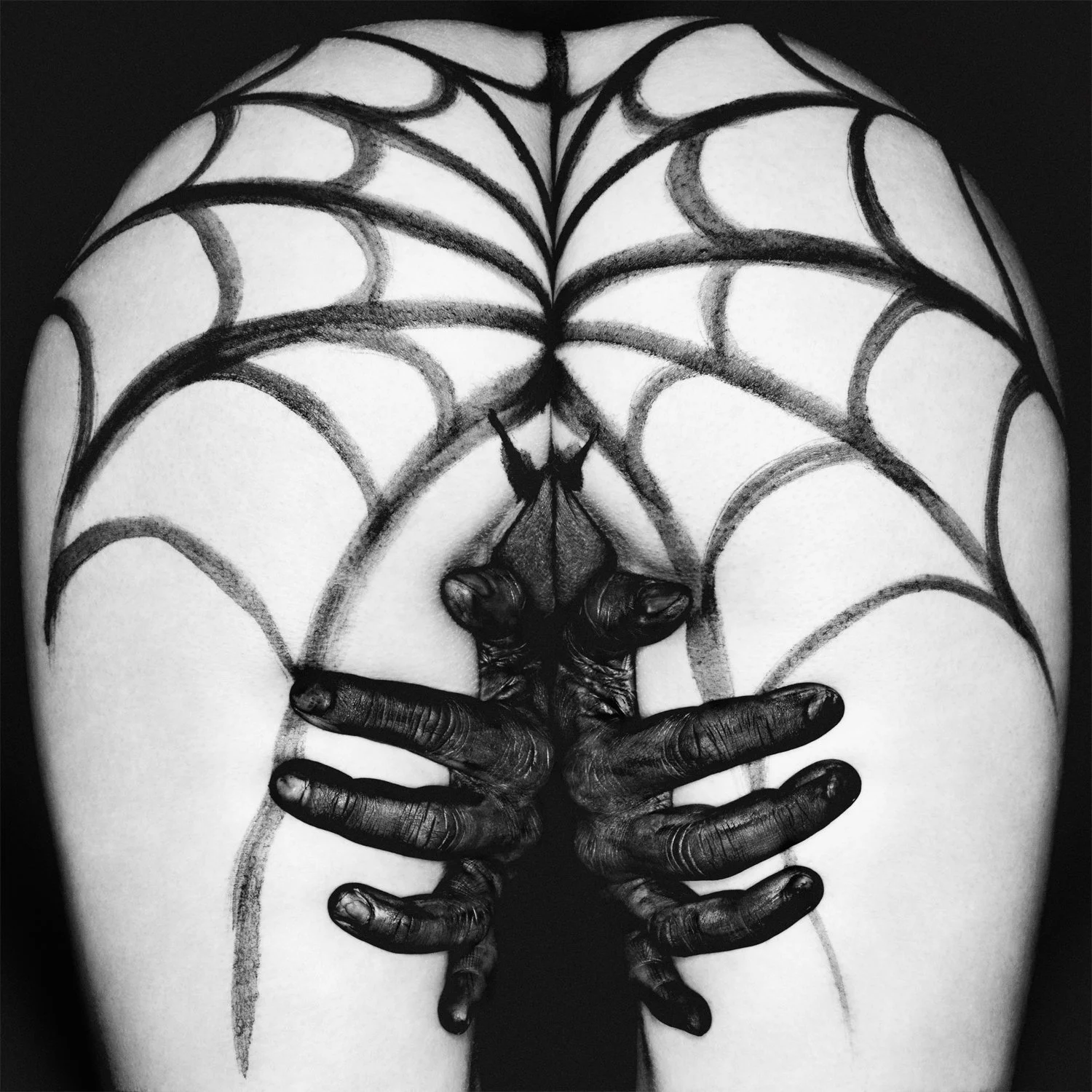 Comita_131227_PIYALI_108Vaginas_04-Spider_019_A.jpg