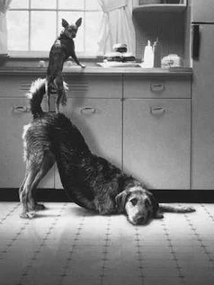 teamwork.jpg