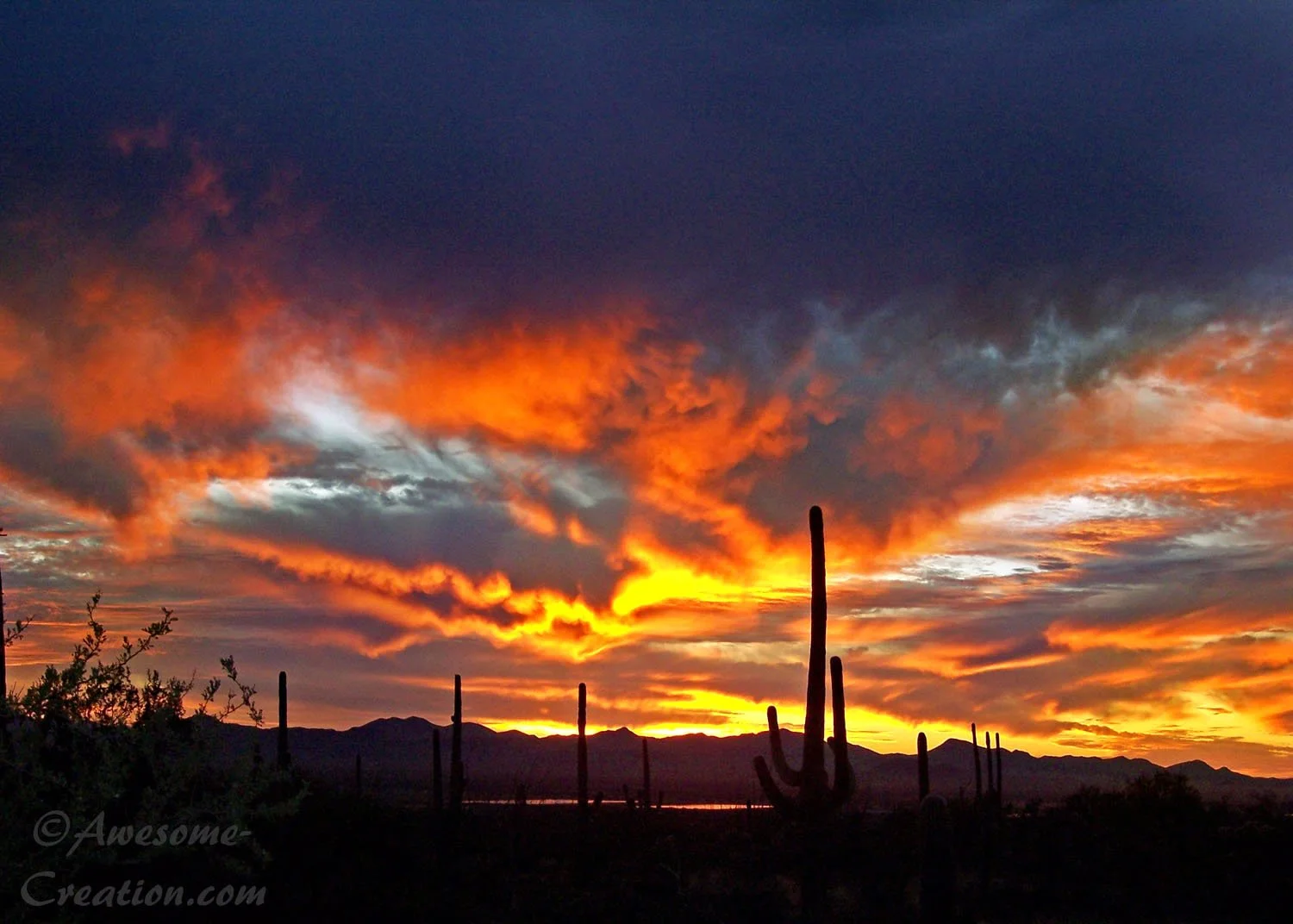 Arizona November Sunset.jpg