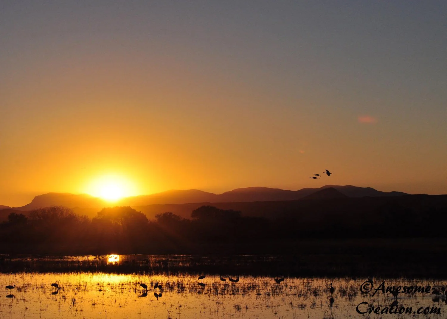 Awesome Creation Sunset.jpg
