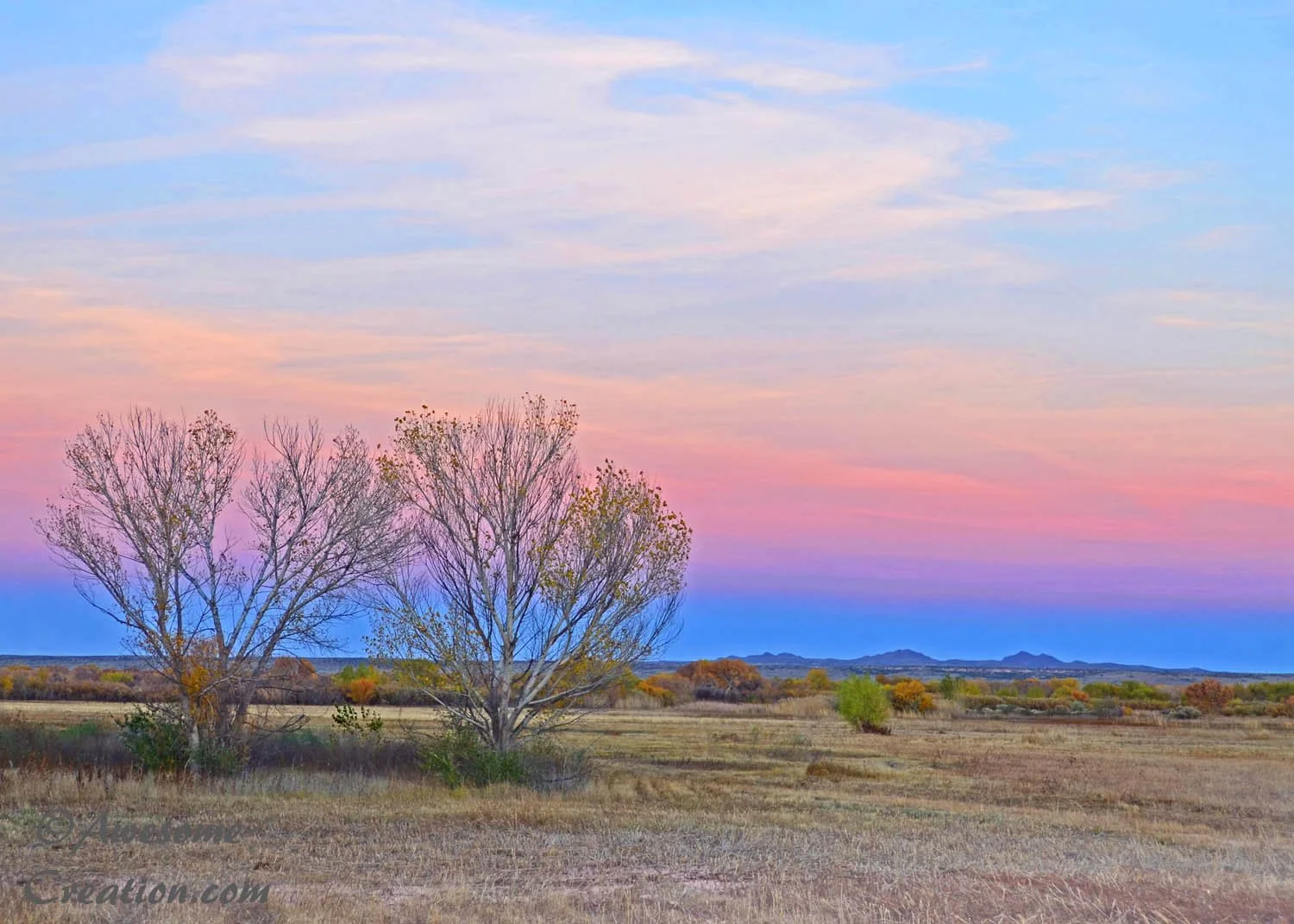 November Sunset.jpg