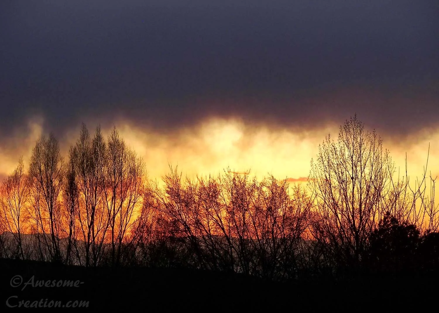 Mountain Sunset.jpg