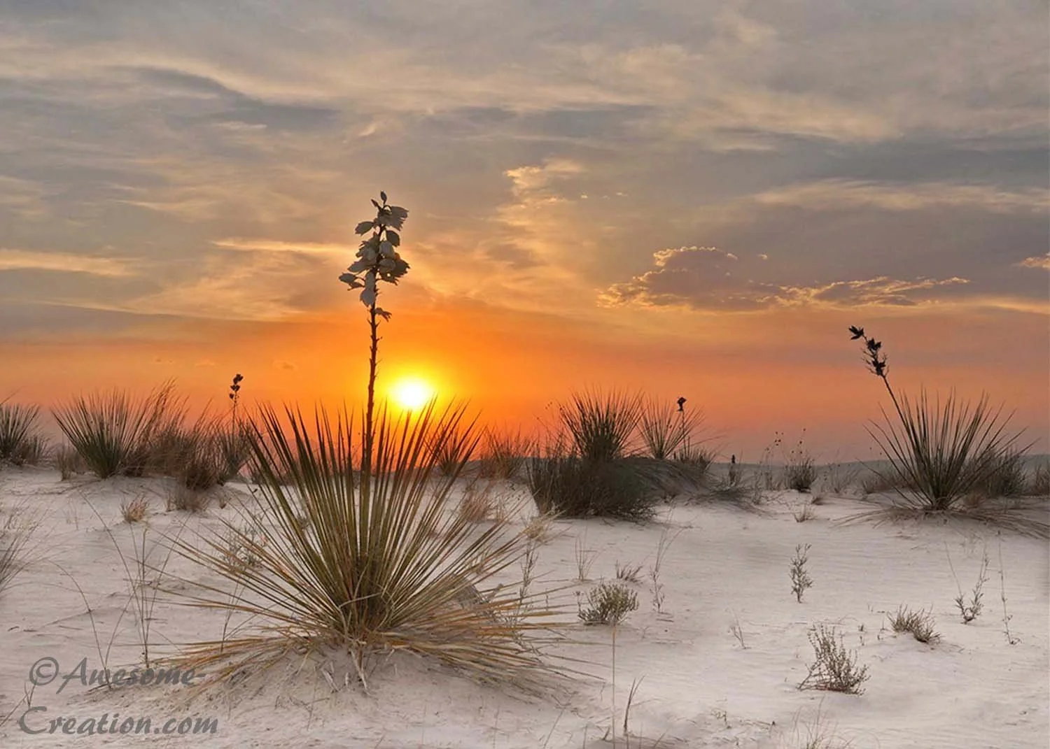 White Sands Sunset.jpg