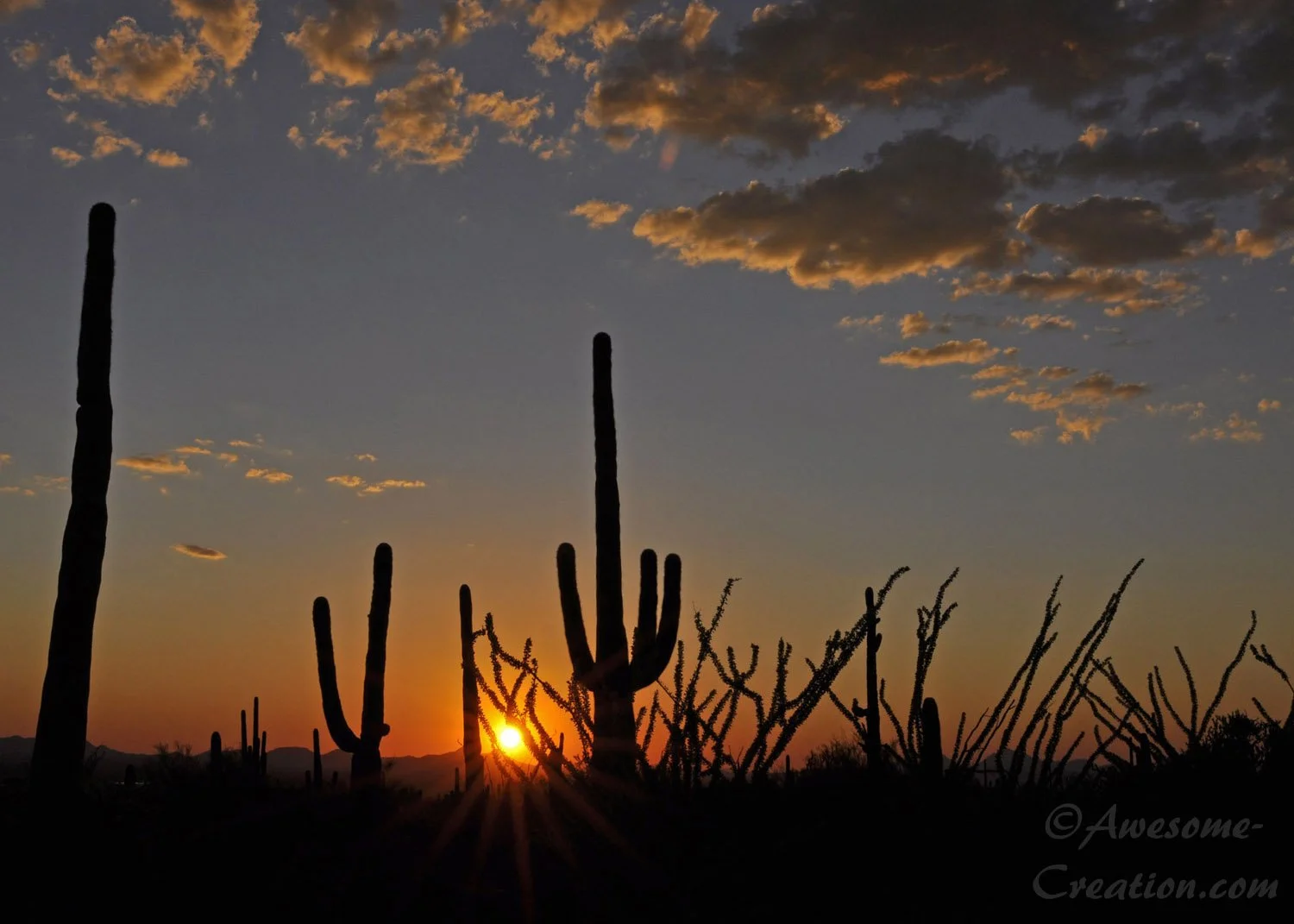 Arizona Sunset.jpg