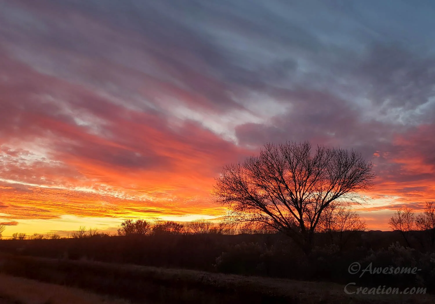 Country road Sunset.jpg