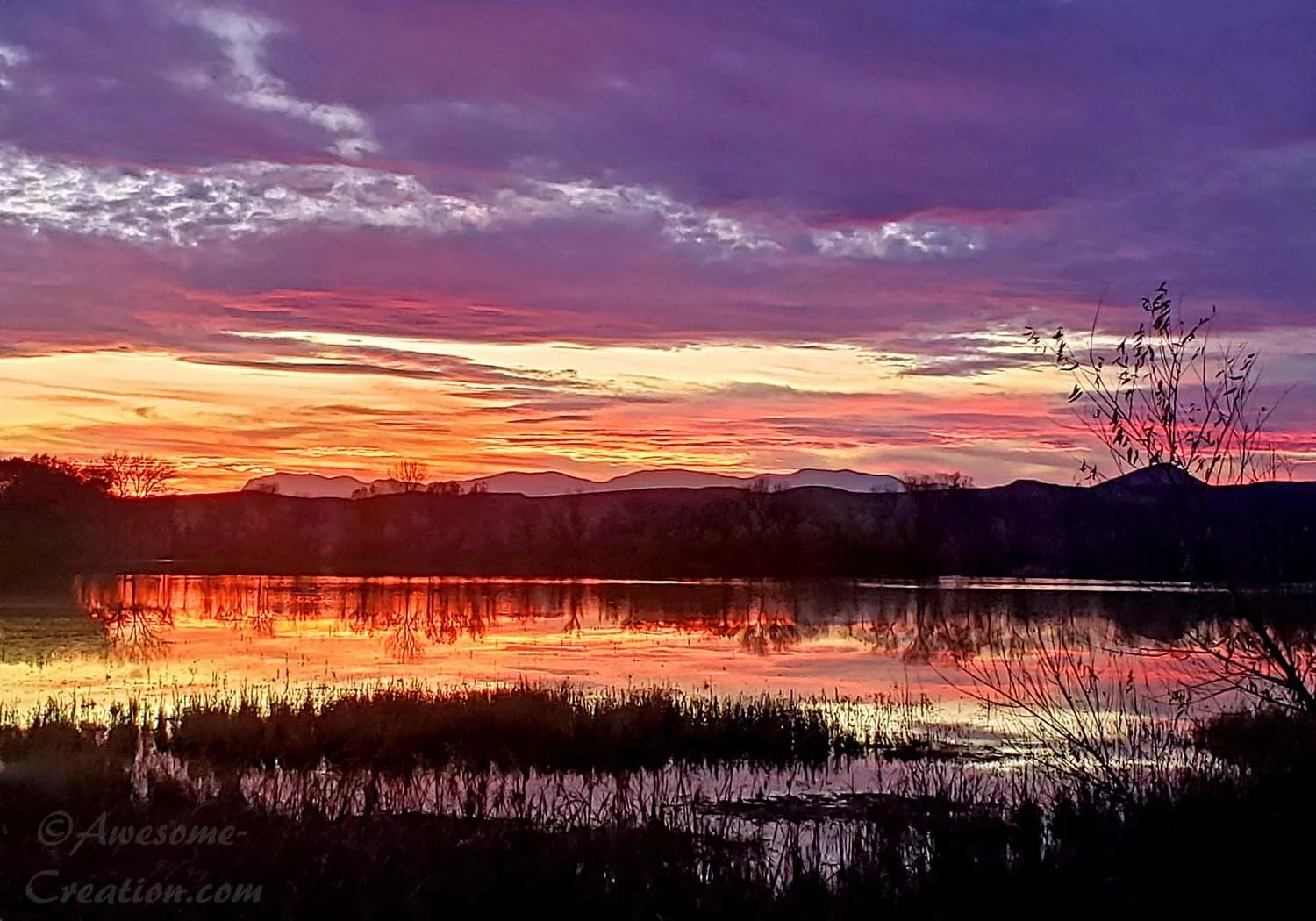 Bosque Del Apache Sunset 2.jpg