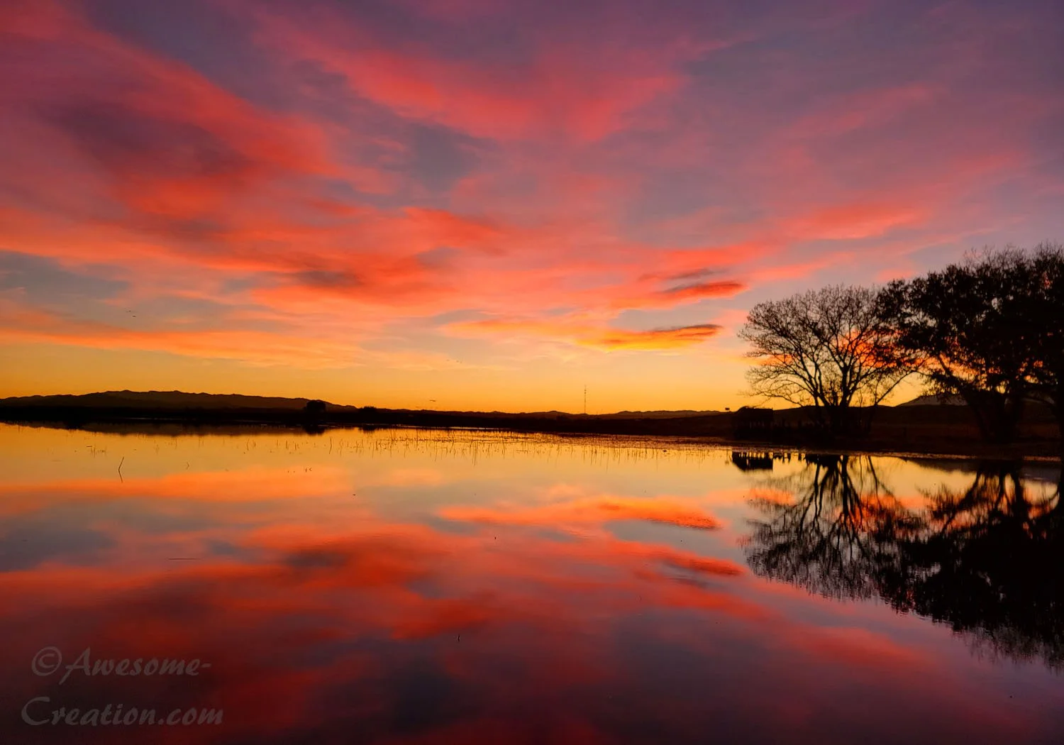 Bernado Sunset.jpg