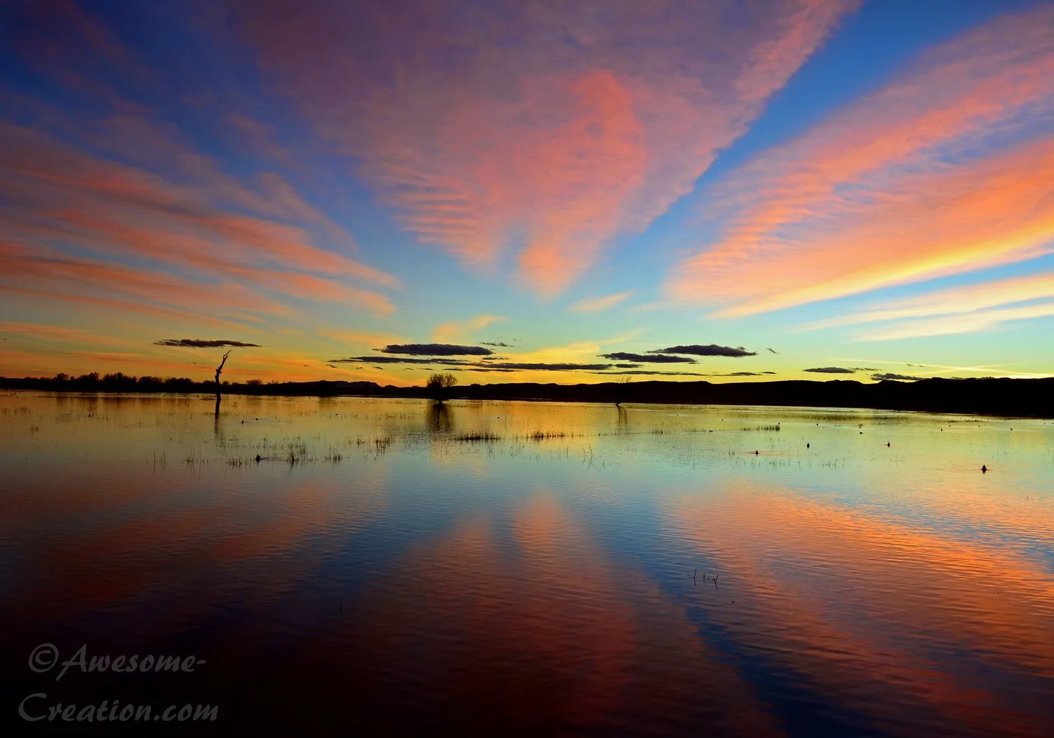 Bosque Del Apache Sunset.jpg