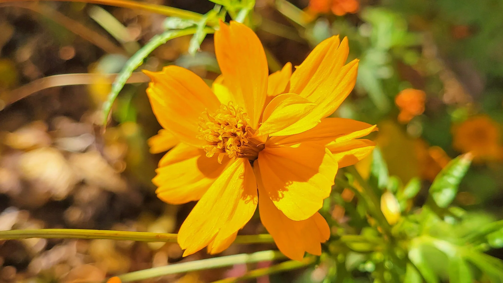 20260106_115305r cr.jpg