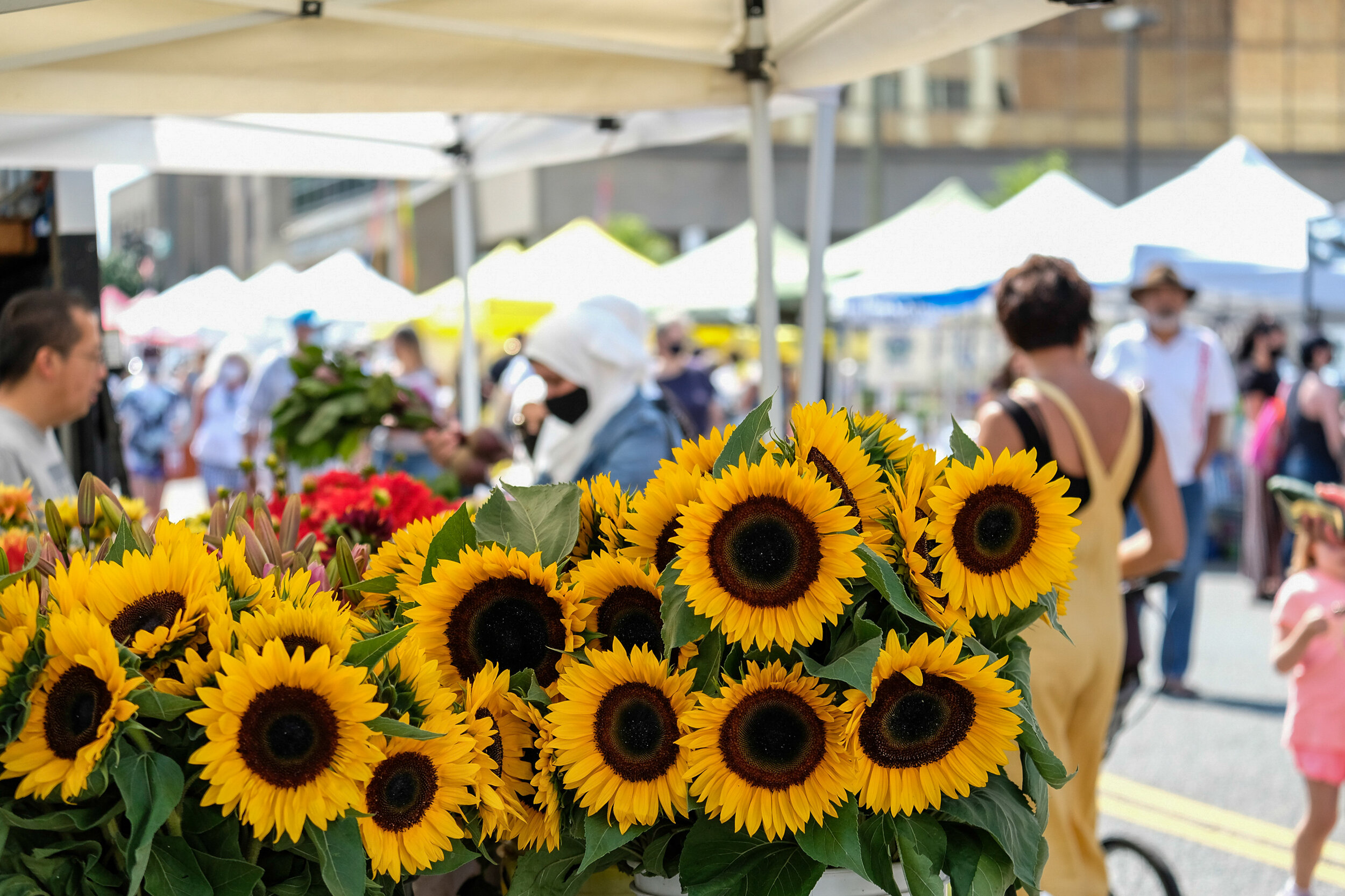 Cindy Cornell - Skotdal_Everett-FarmersMarket-HighRes-3.jpg