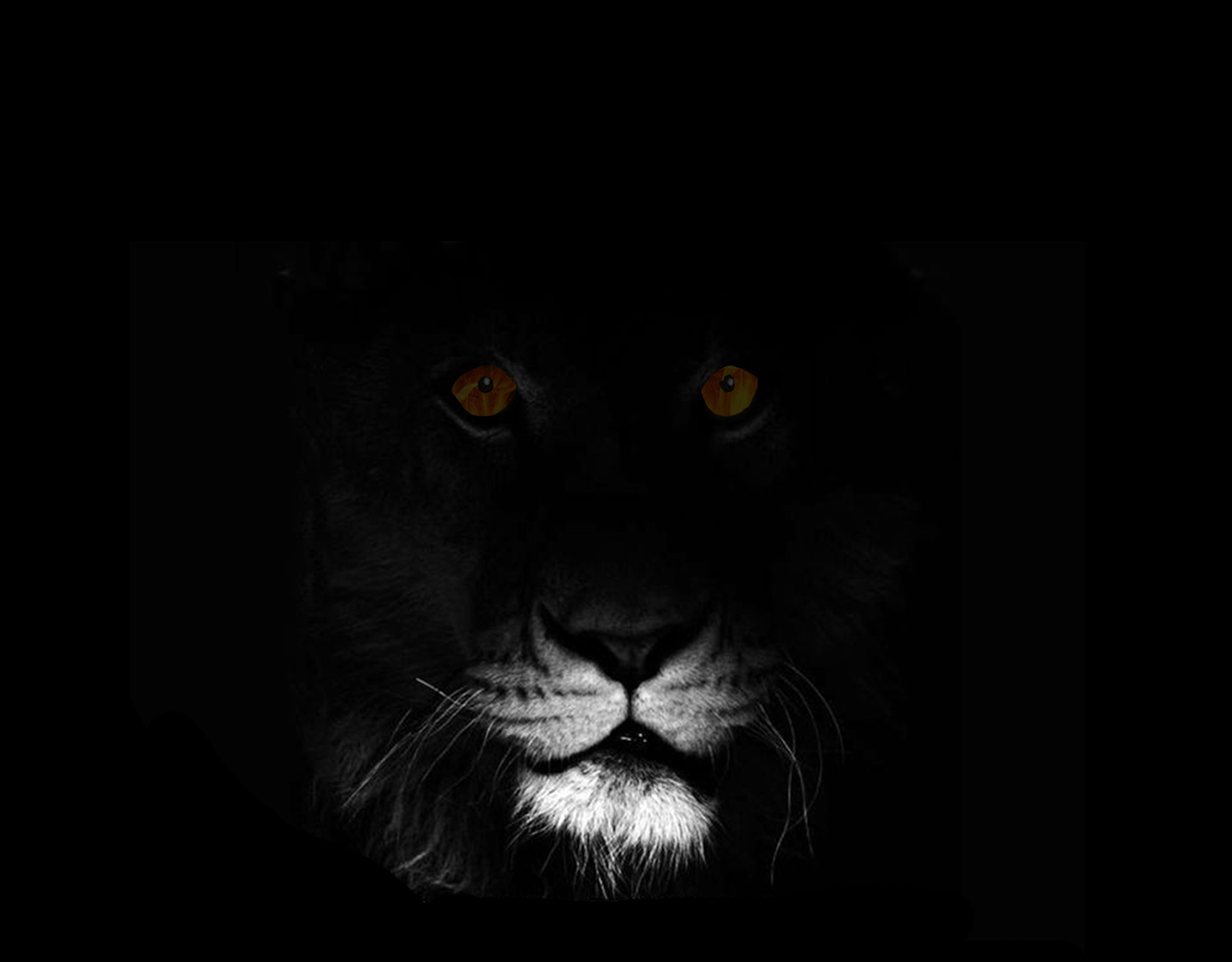 LION.jpg