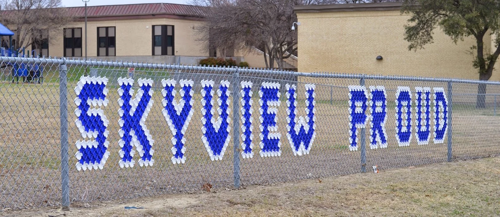 skyview-pta