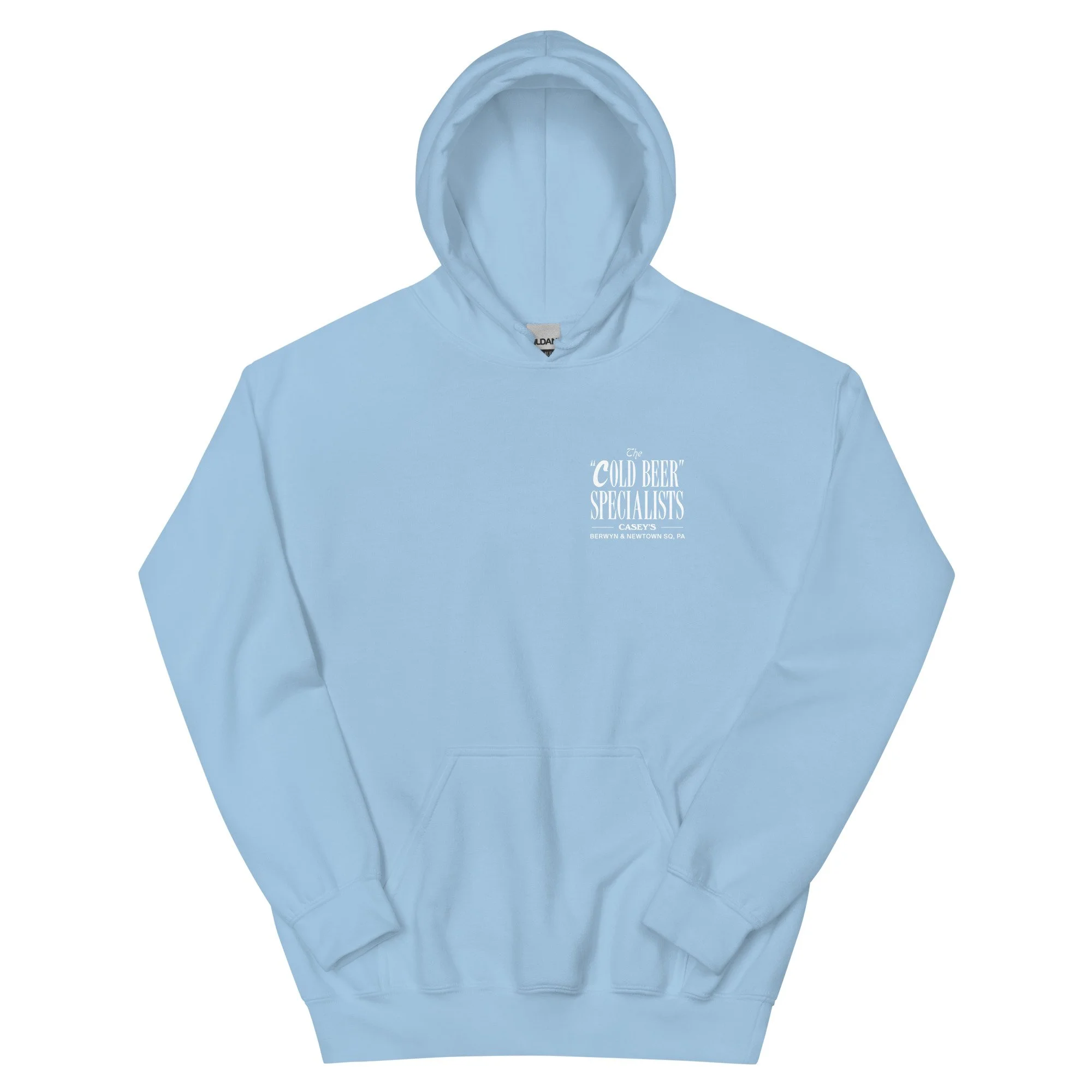 unisex-heavy-blend-hoodie-light-blue-front-633351495ed50.jpg