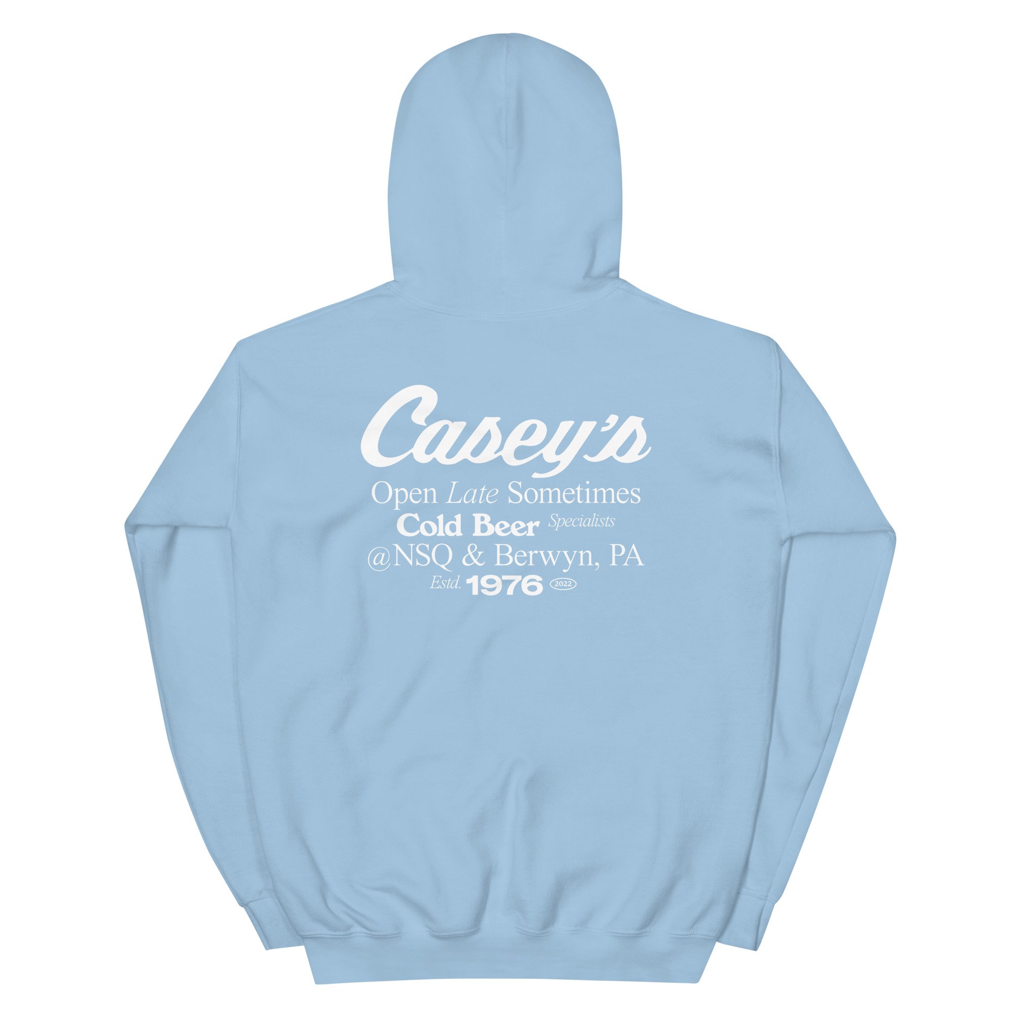 unisex-heavy-blend-hoodie-light-blue-back-6333514960cb4.jpg