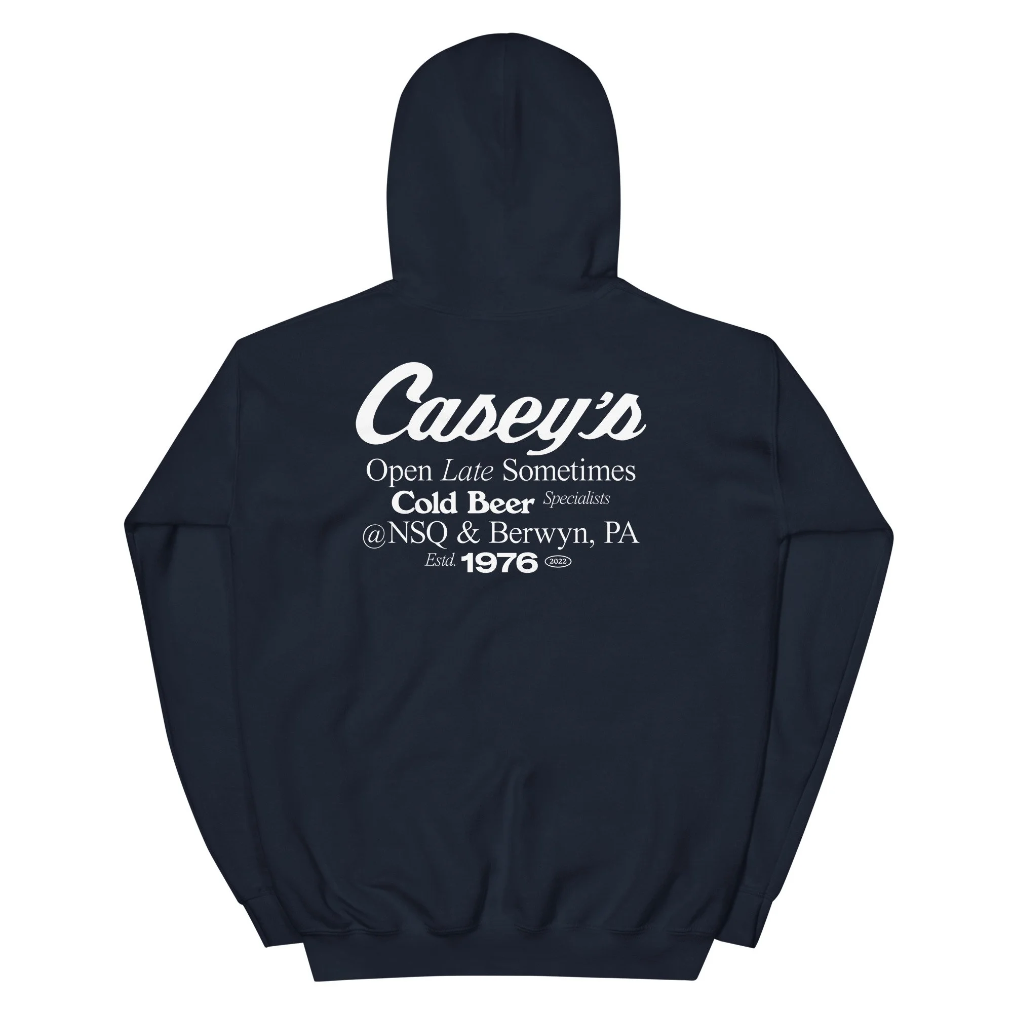 unisex-heavy-blend-hoodie-navy-back-633f32bc0381a.jpg