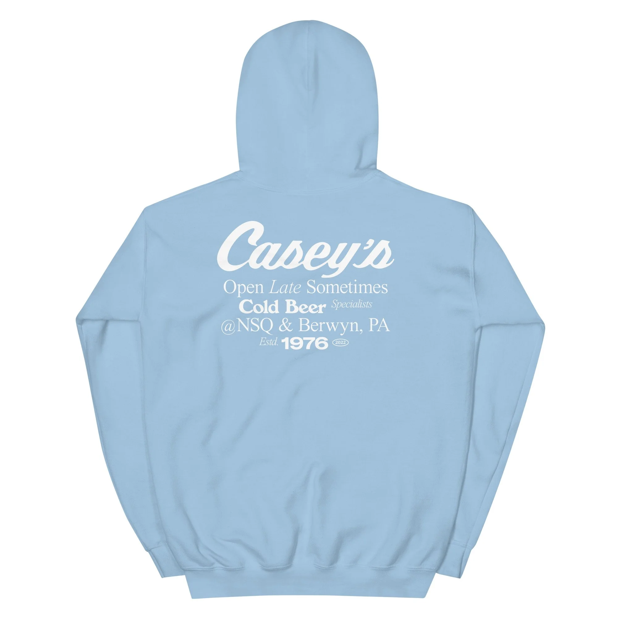 unisex-heavy-blend-hoodie-light-blue-back-633f32bc163a0.jpg