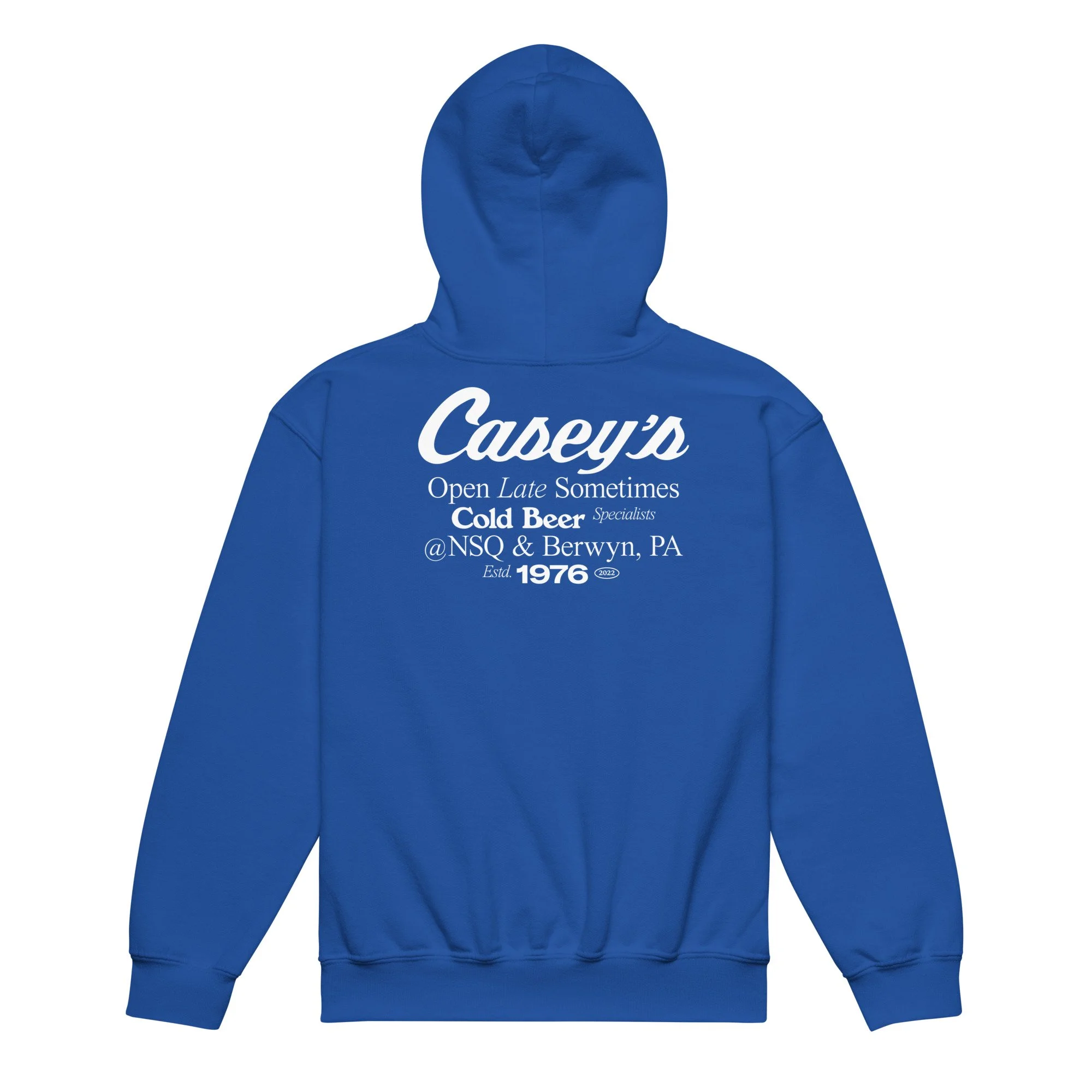 youth-heavy-blend-hoodie-royal-back-66021feb75fc6.jpg