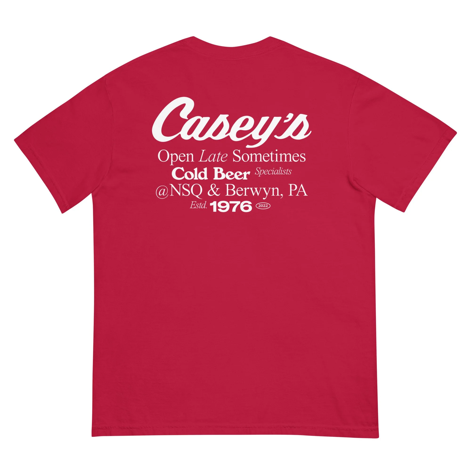 unisex-garment-dyed-heavyweight-t-shirt-red-back-6850c003738ee.jpg