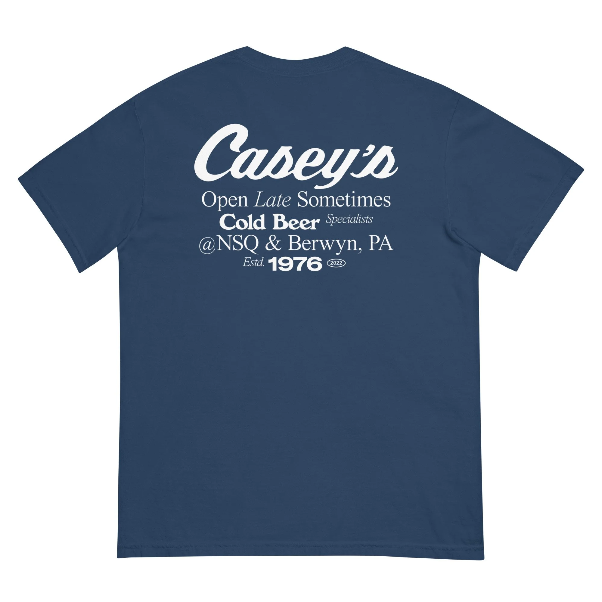 unisex-garment-dyed-heavyweight-t-shirt-true-navy-back-6850c00376692.jpg