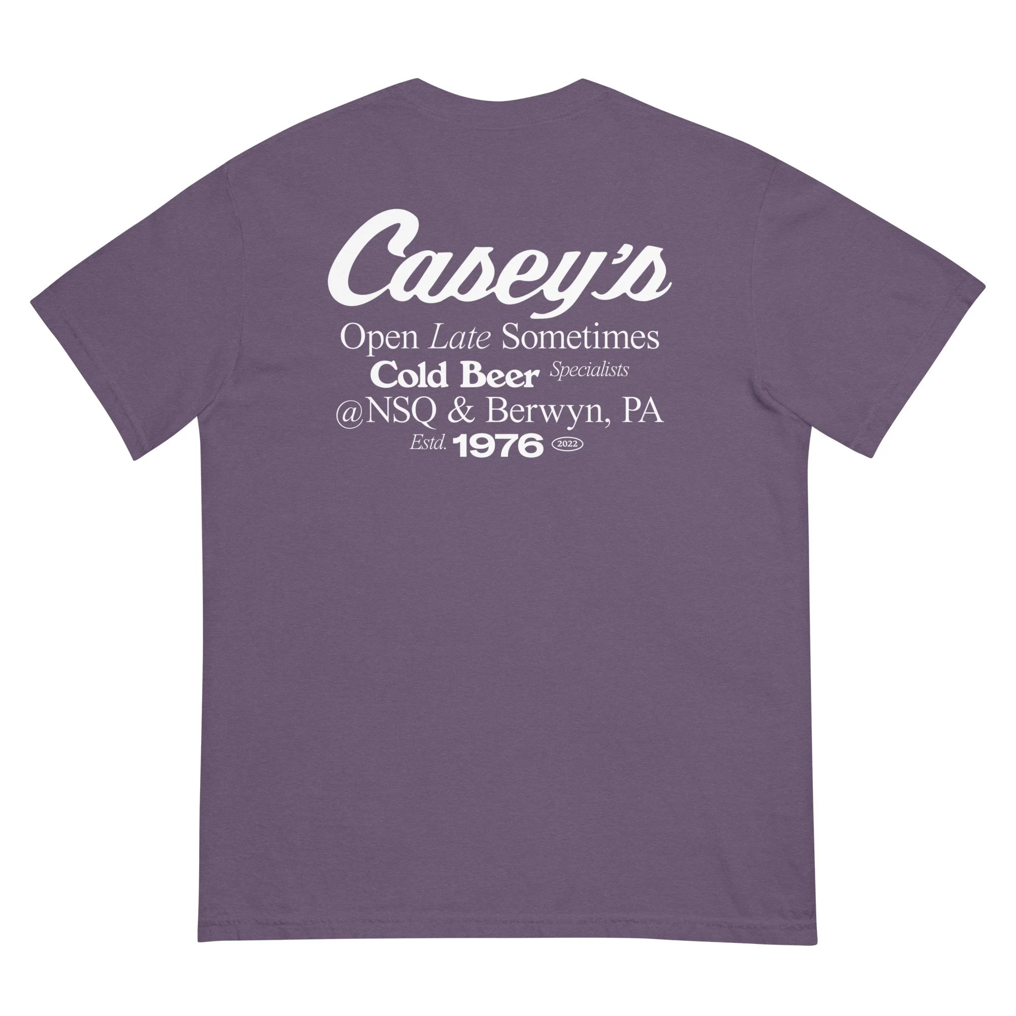 unisex-garment-dyed-heavyweight-t-shirt-grape-back-6850c0037b2bd.jpg