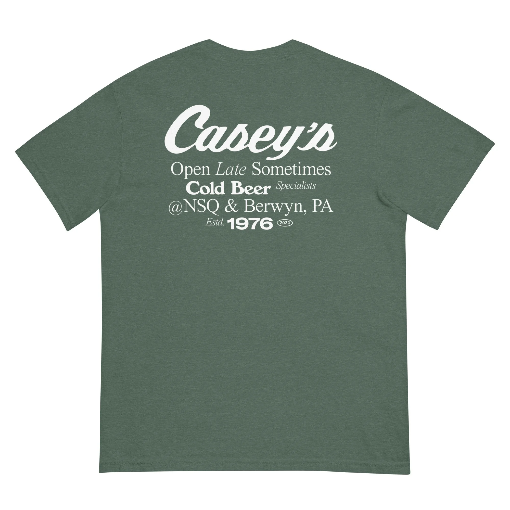 unisex-garment-dyed-heavyweight-t-shirt-blue-spruce-back-6850c003894dd.jpg