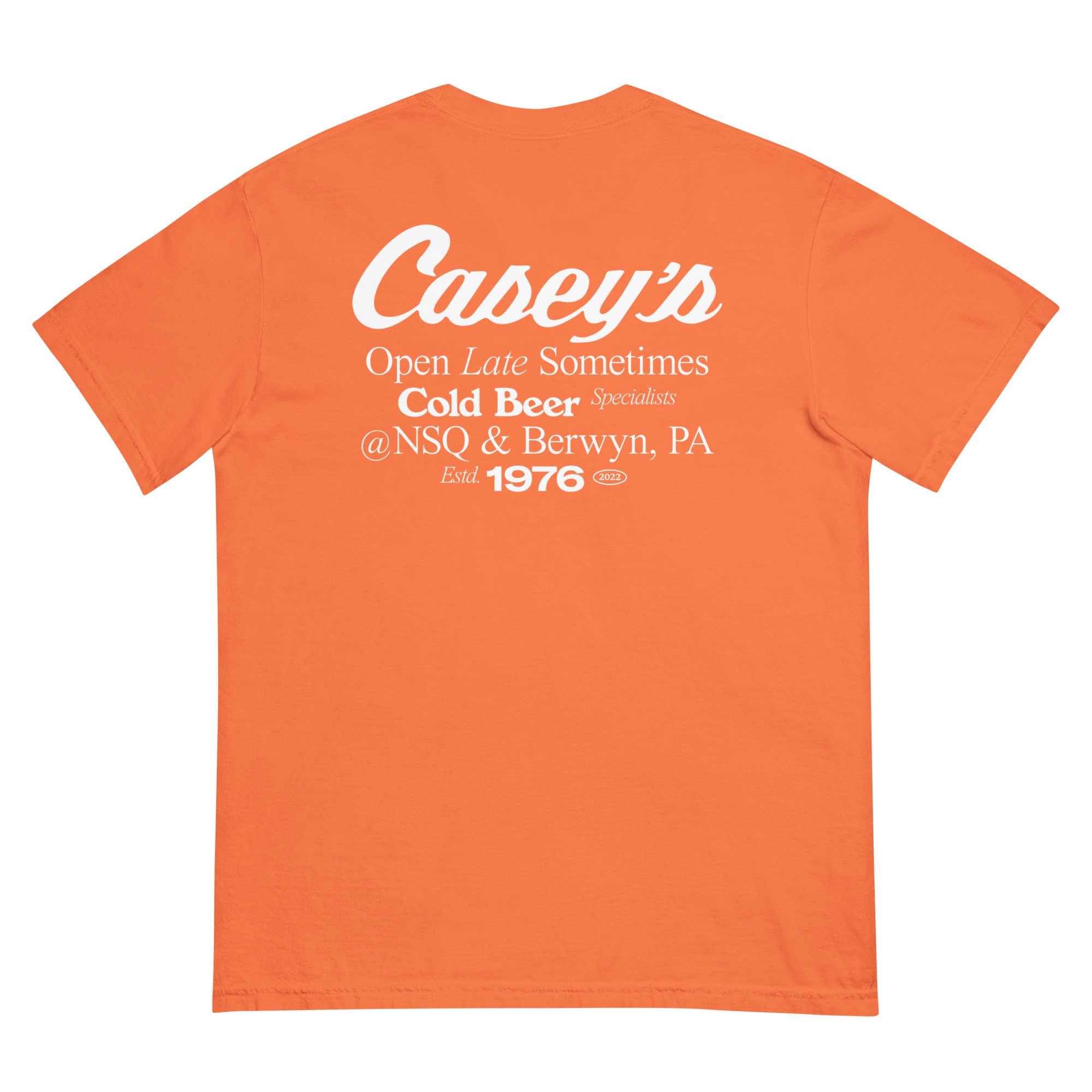 unisex-garment-dyed-heavyweight-t-shirt-burnt-orange-back-6850c003c709a.jpg