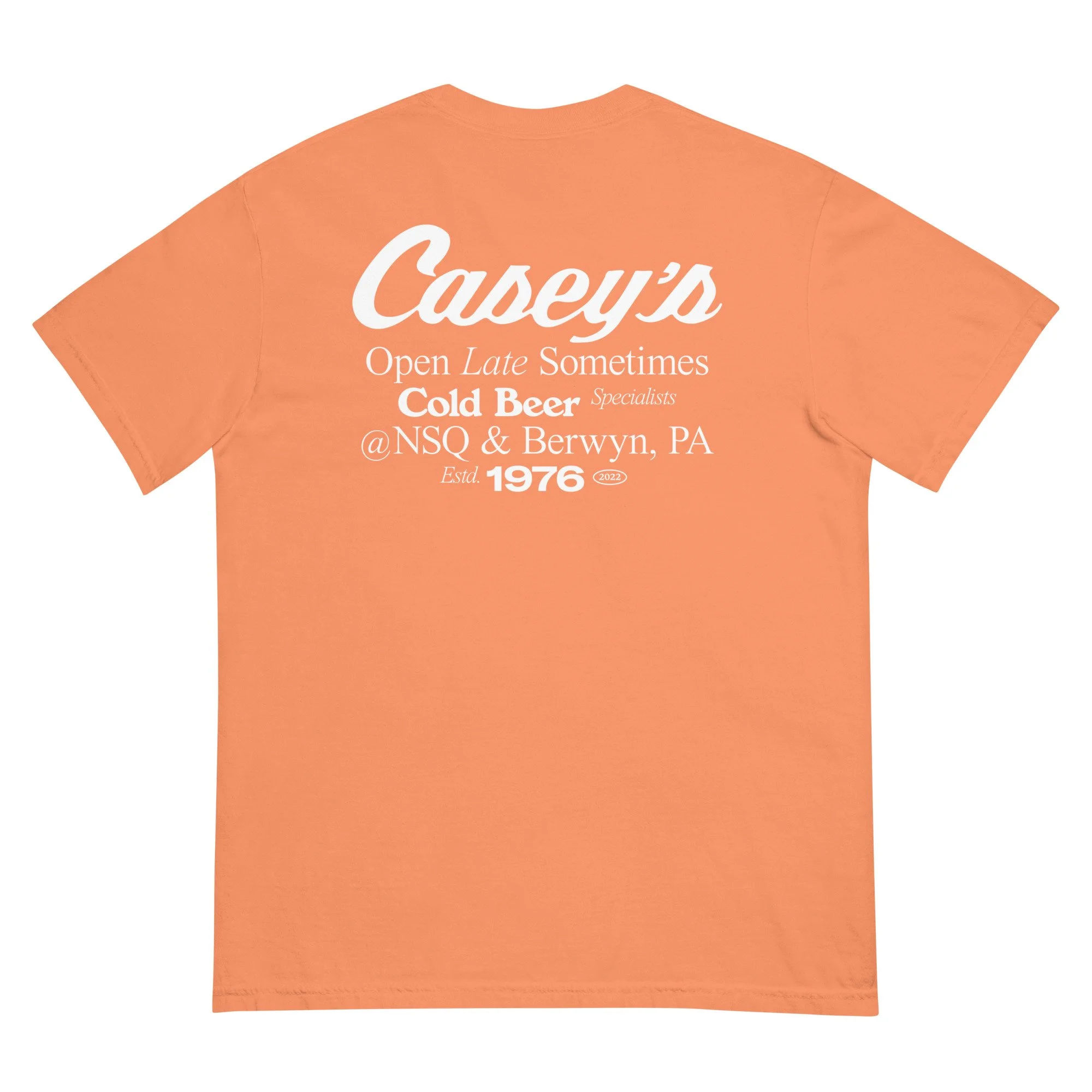 unisex-garment-dyed-heavyweight-t-shirt-terracotta-back-6850c003d7a0c.jpg
