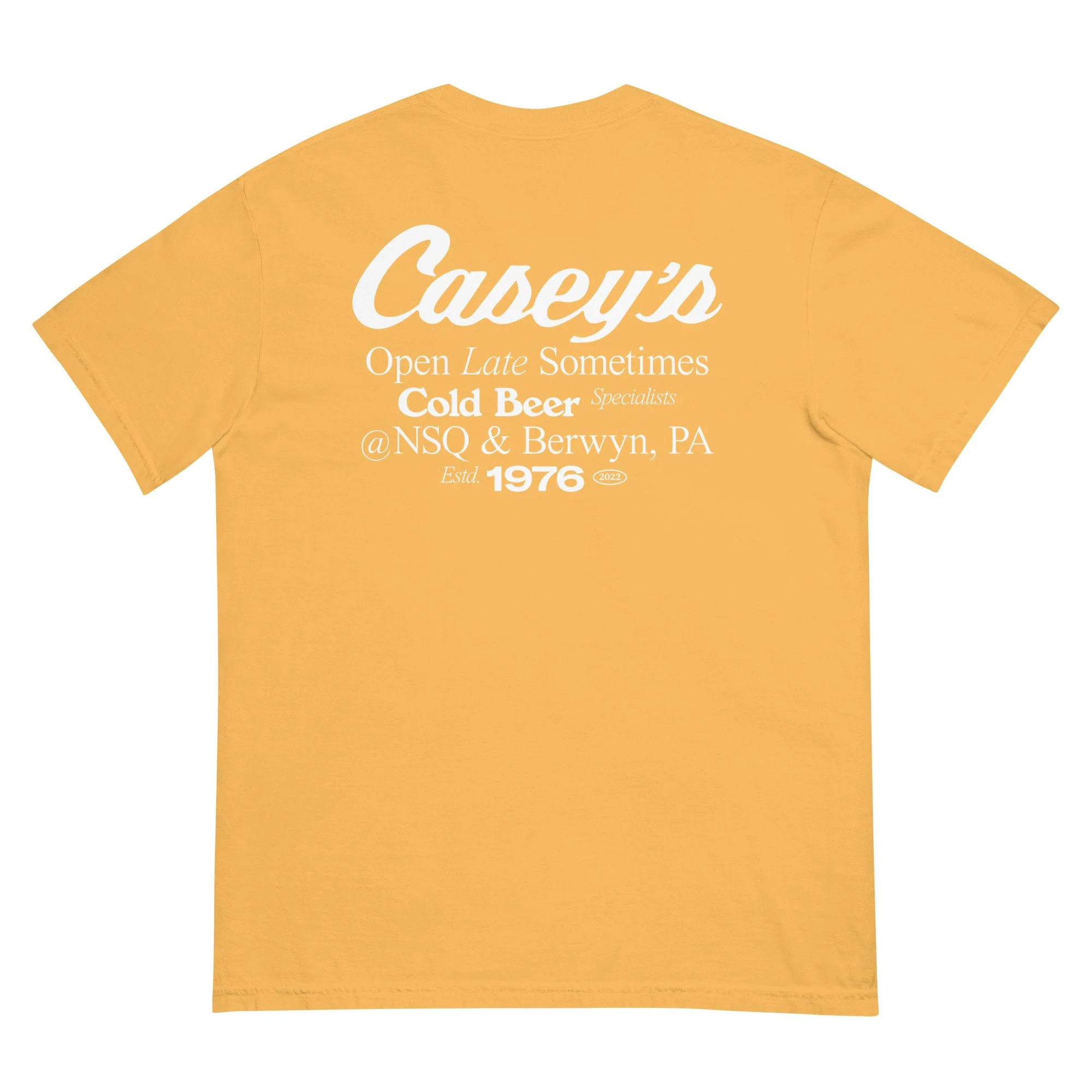 unisex-garment-dyed-heavyweight-t-shirt-mustard-back-6850c0040e481.jpg