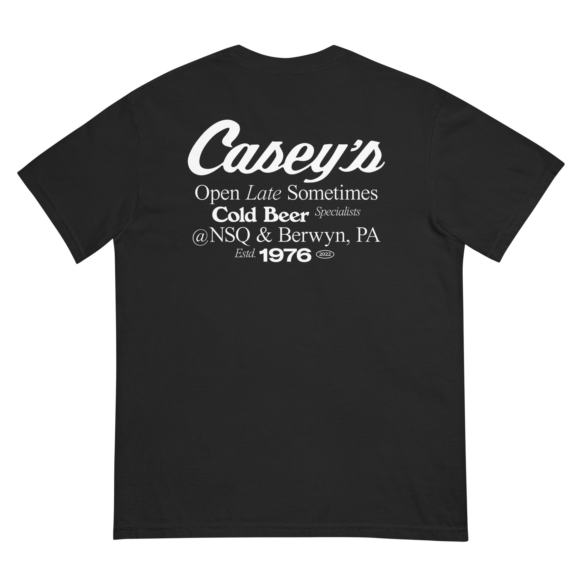 unisex-garment-dyed-heavyweight-t-shirt-black-back-6850c1a4a21a1.jpg