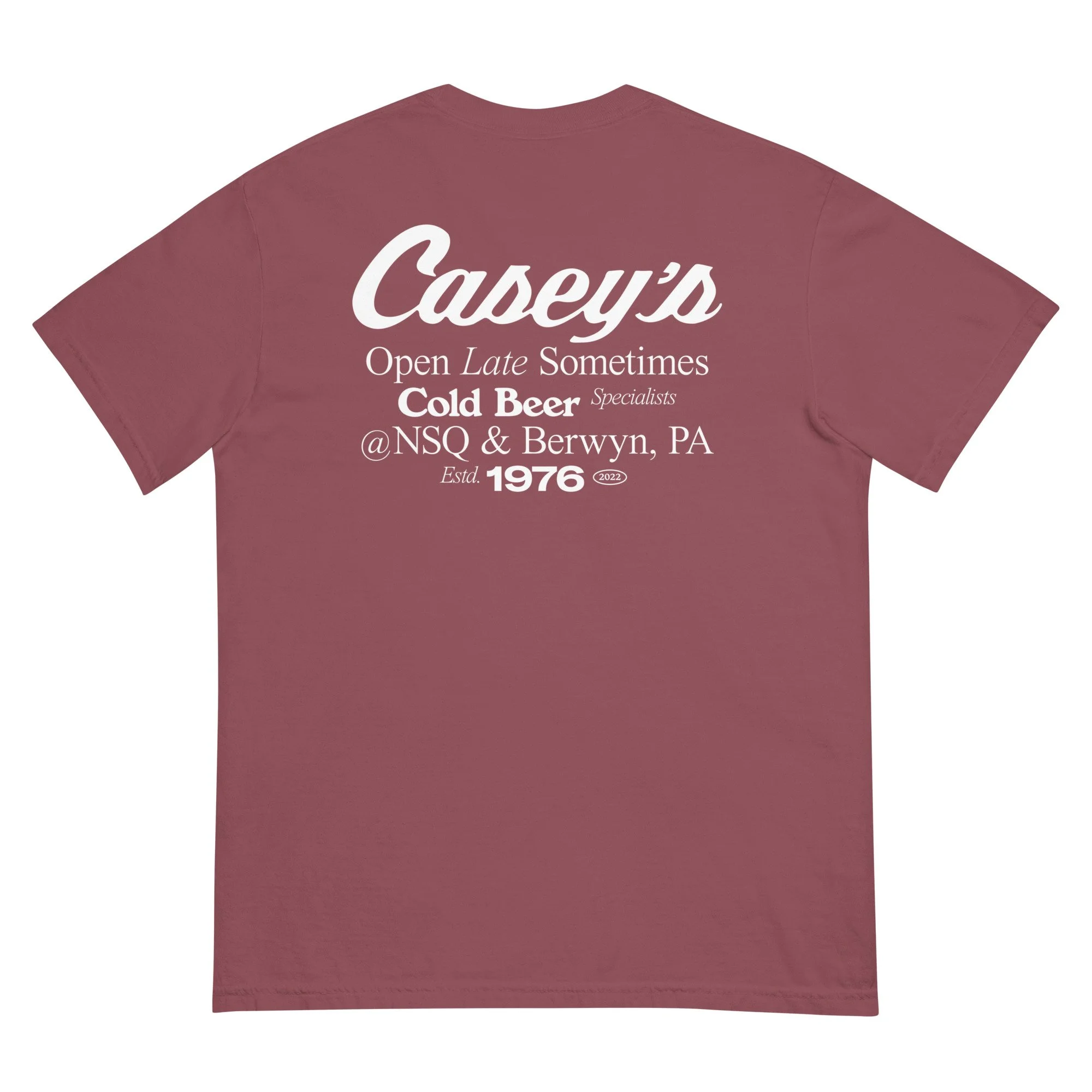unisex-garment-dyed-heavyweight-t-shirt-brick-back-6850c1a4b1367.jpg