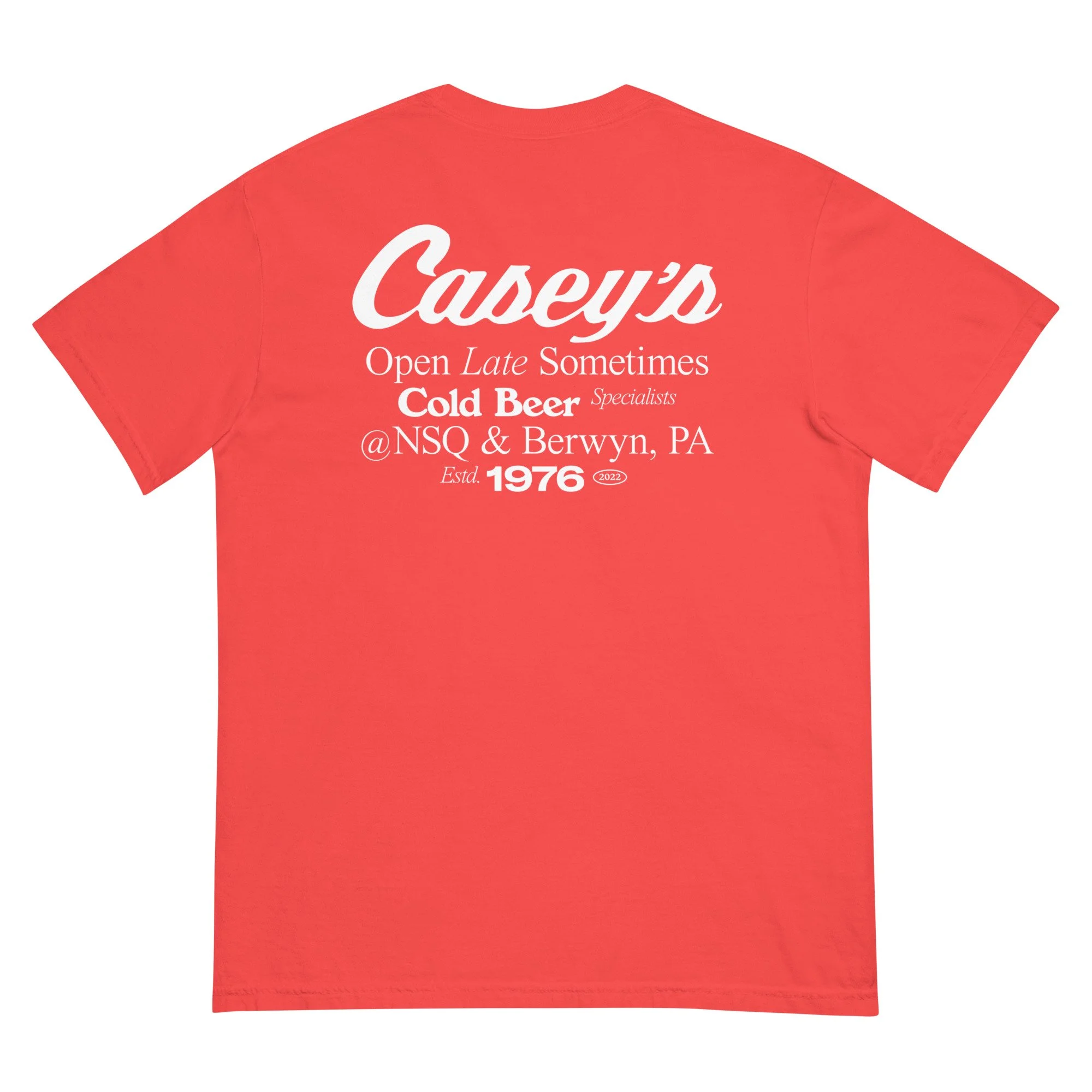 unisex-garment-dyed-heavyweight-t-shirt-paprika-back-6850c1a4c6be5.jpg