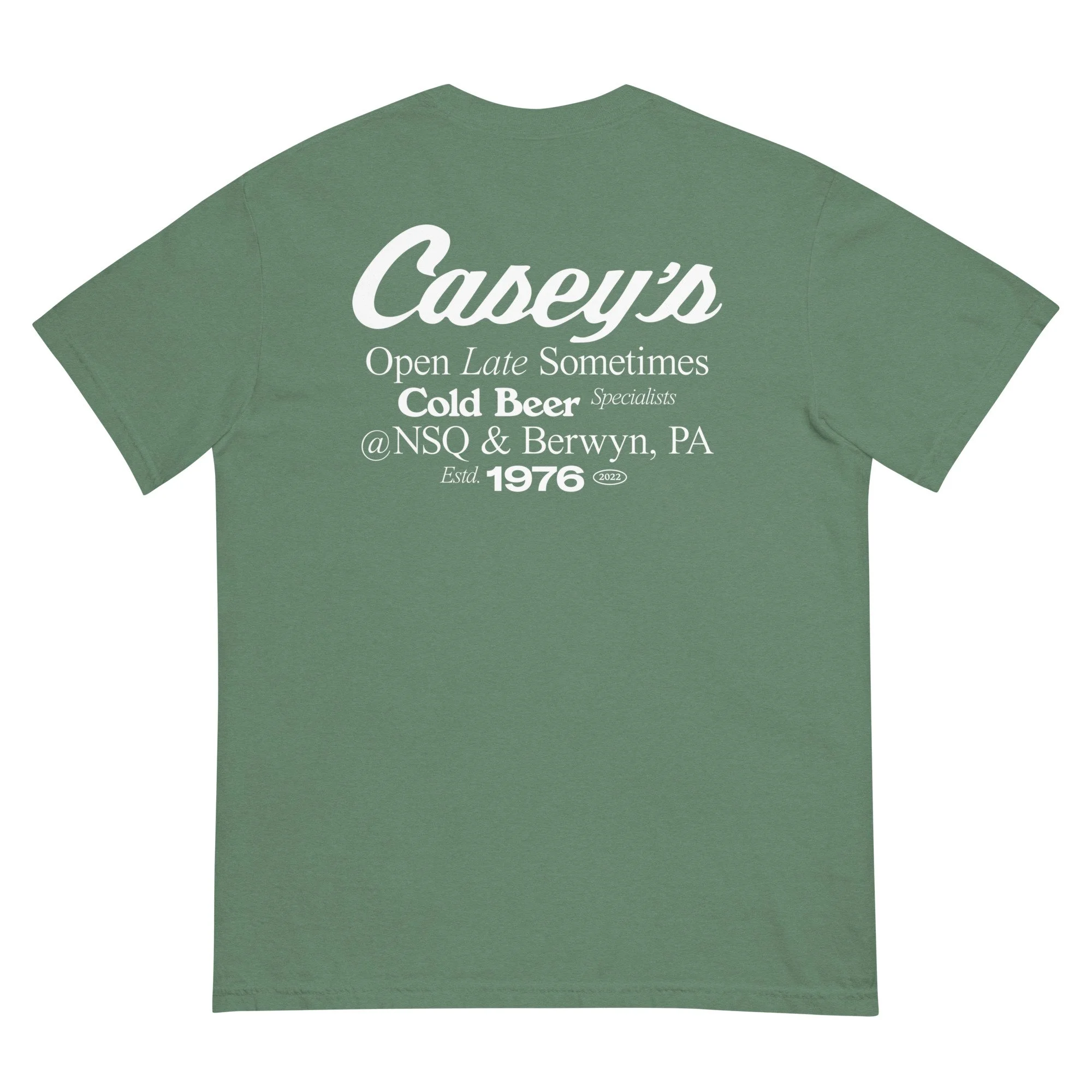 unisex-garment-dyed-heavyweight-t-shirt-light-green-back-6850c1a4d083c.jpg