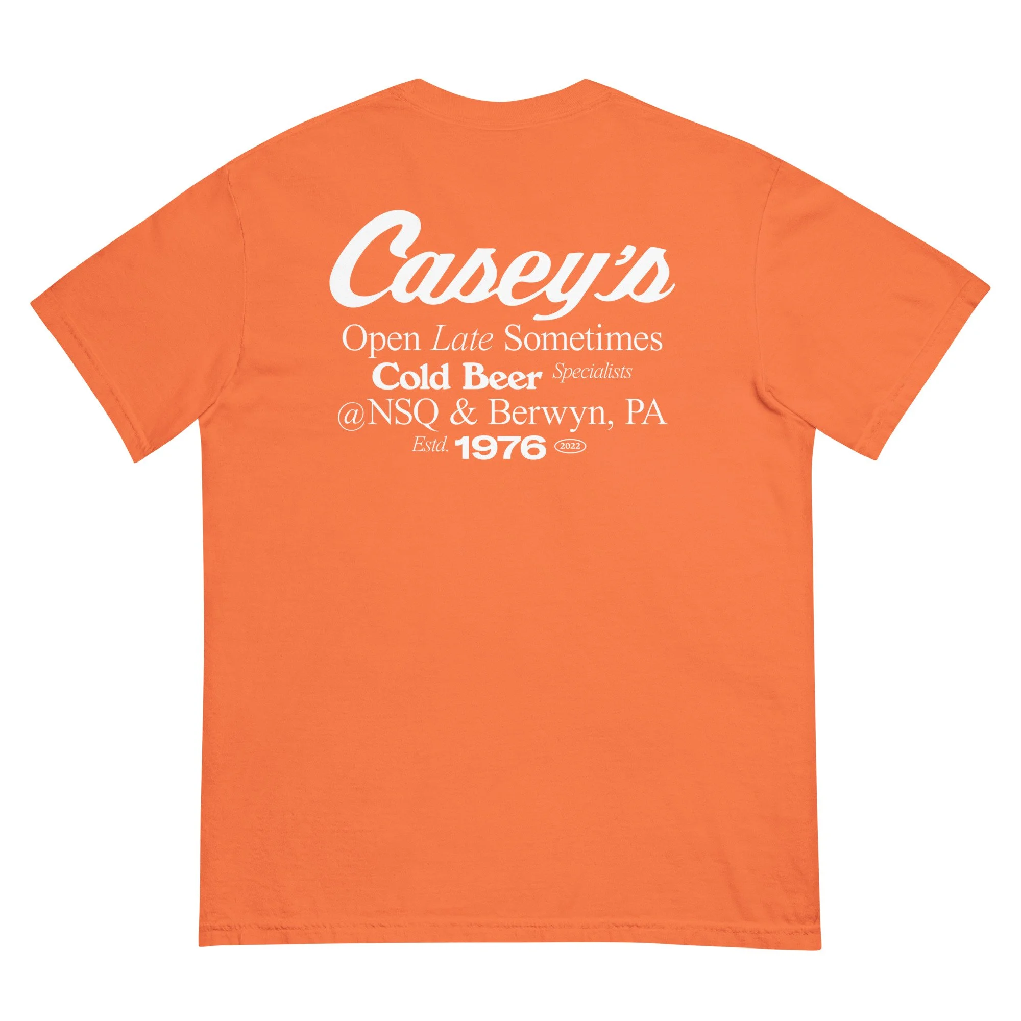 unisex-garment-dyed-heavyweight-t-shirt-burnt-orange-back-6850c1a4db6a3.jpg