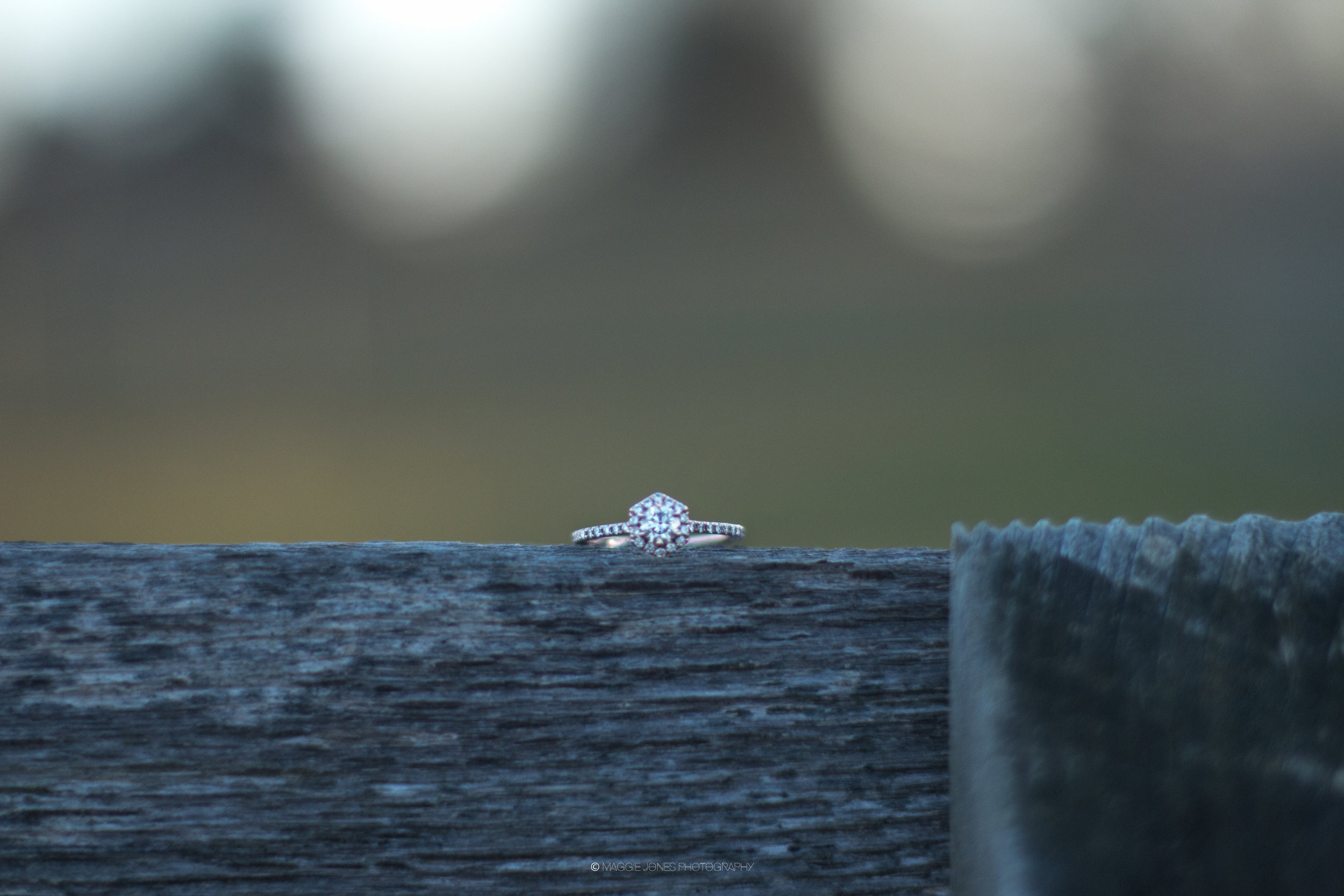courtney+dannyENGAGEMENTsneakpeek-26.jpg