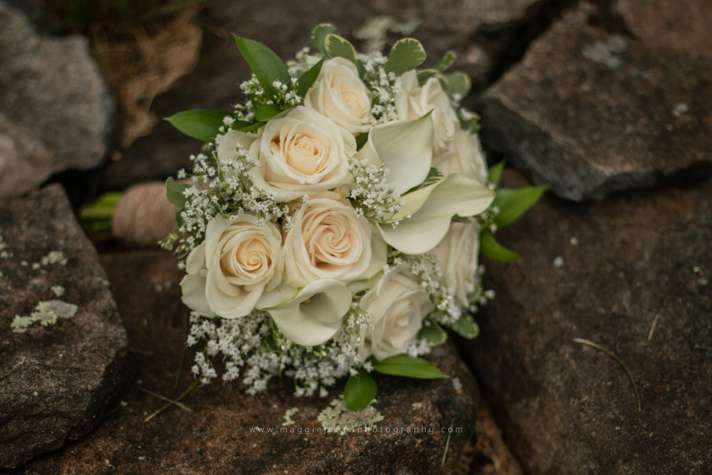 Mitch+Leah-1-4.jpg