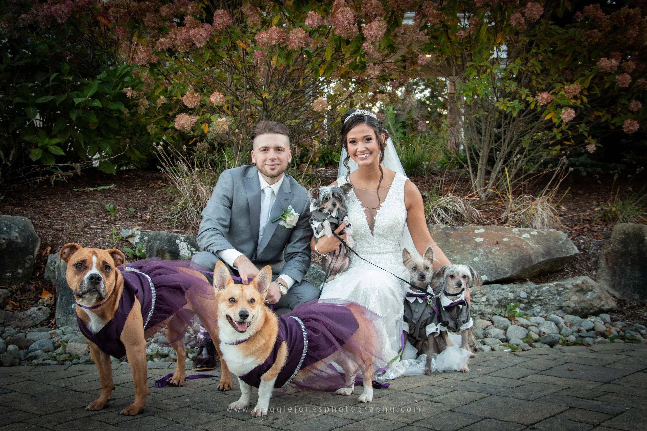 Jill+Scott_blog-1-4.jpg