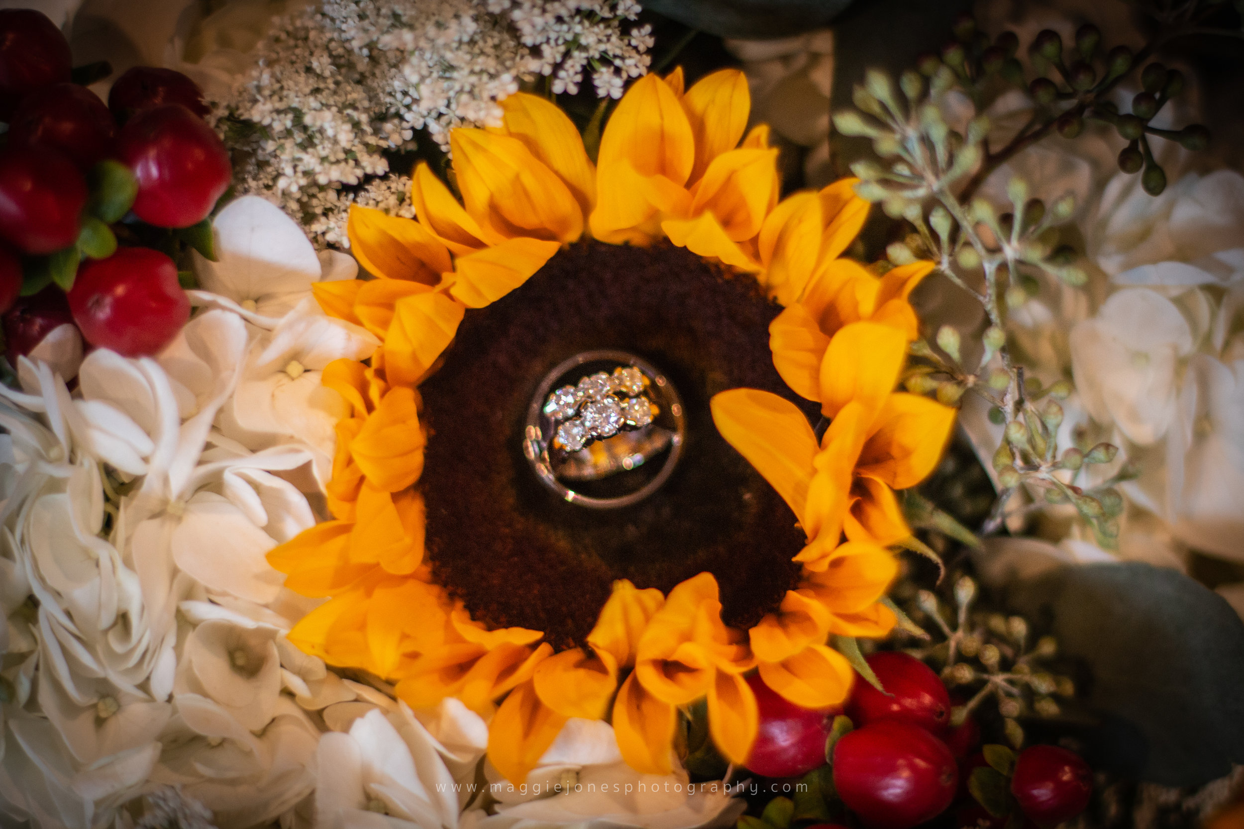 Chad_NicoleOct27th2018Wedding_blog-1-2.jpg