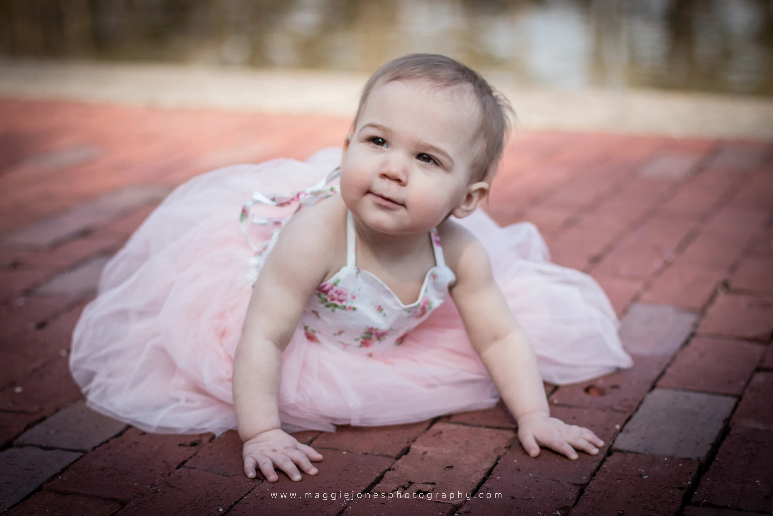 Josie1stBdayBlog-1-8.jpg
