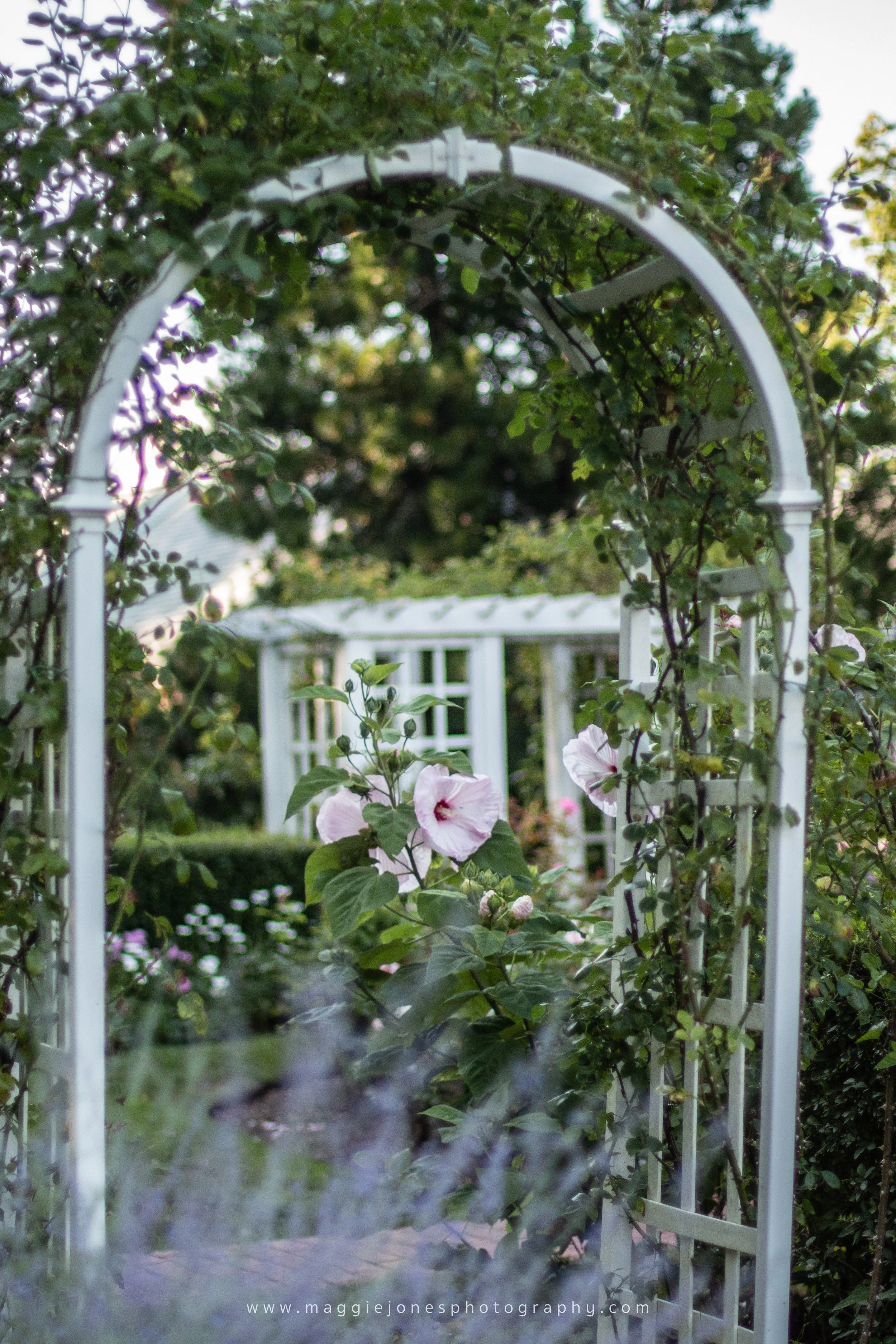 Ruthann+Peter08092019Wedding_BLOG-1-43.jpg