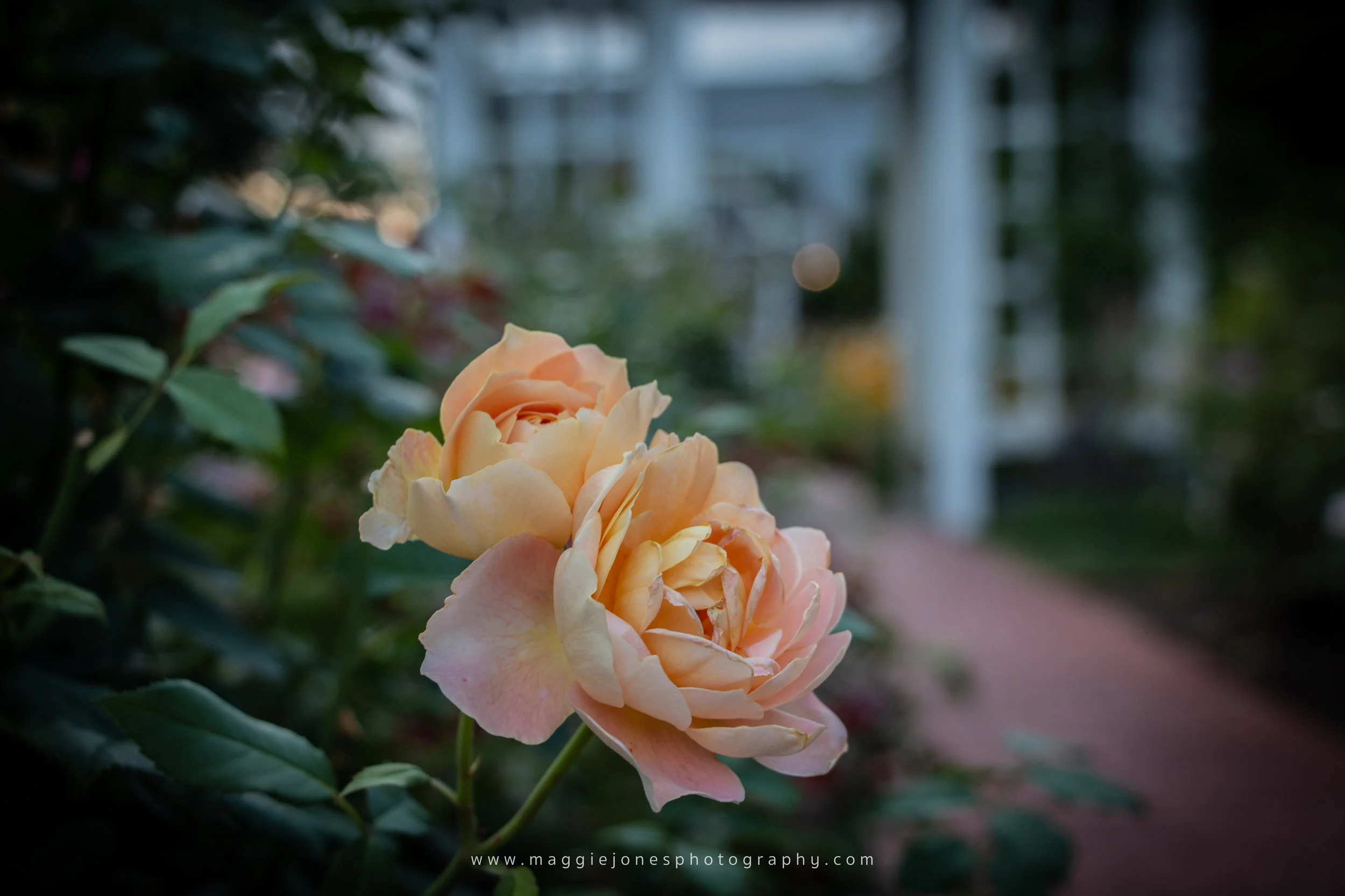 Ruthann+Peter08092019Wedding_BLOG-1-92.jpg