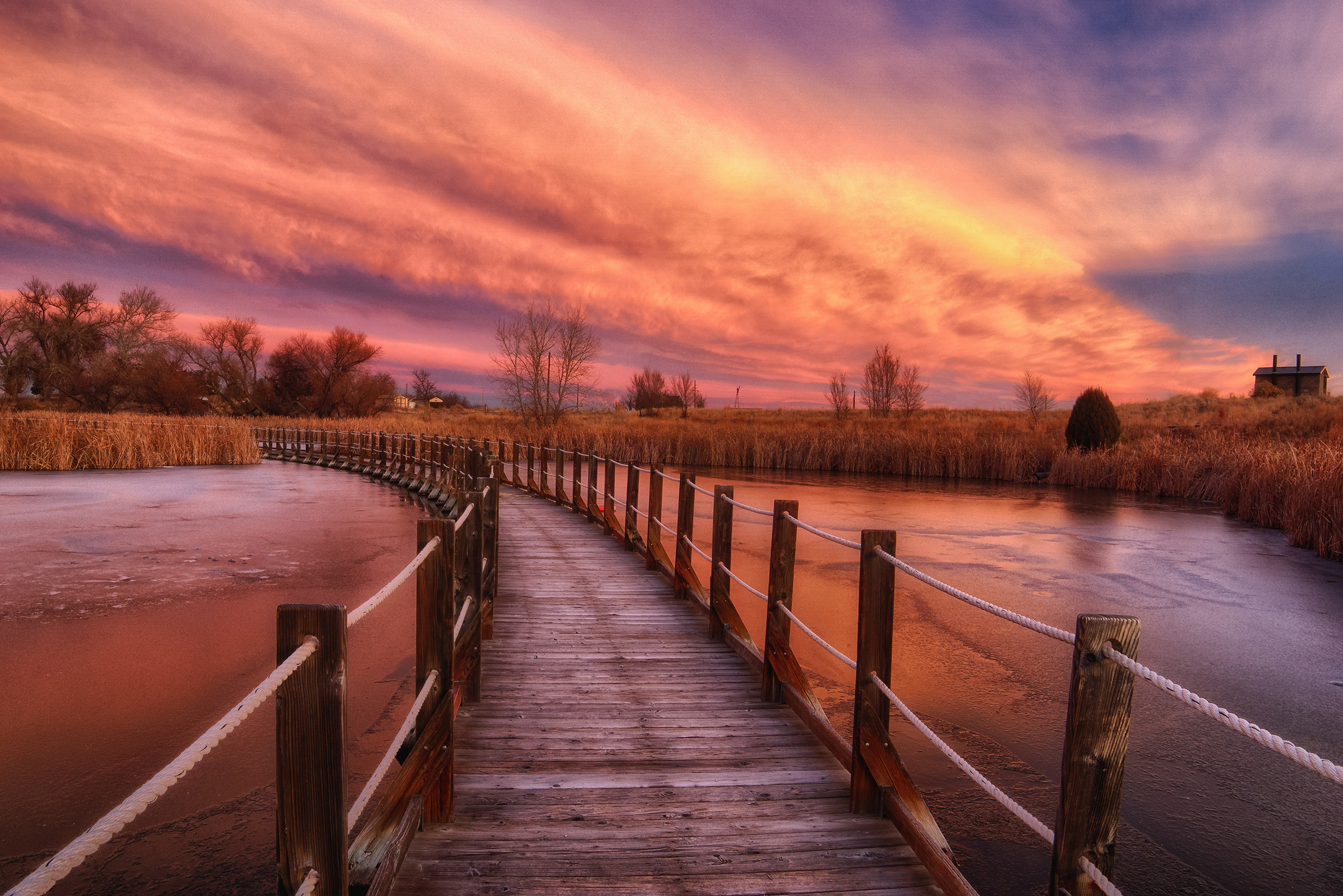 Footbridge 1 - web.jpg