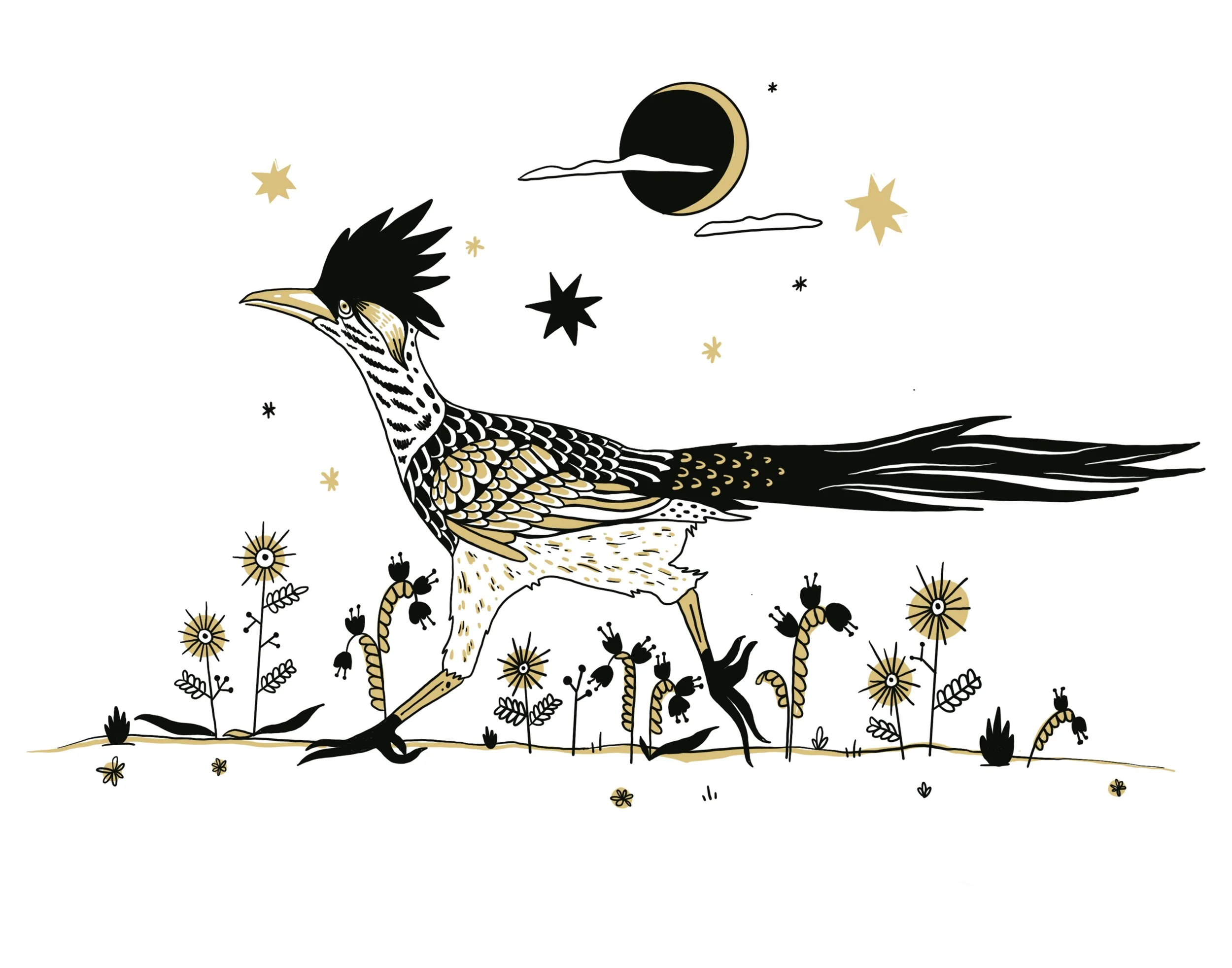 Roadrunner.jpg