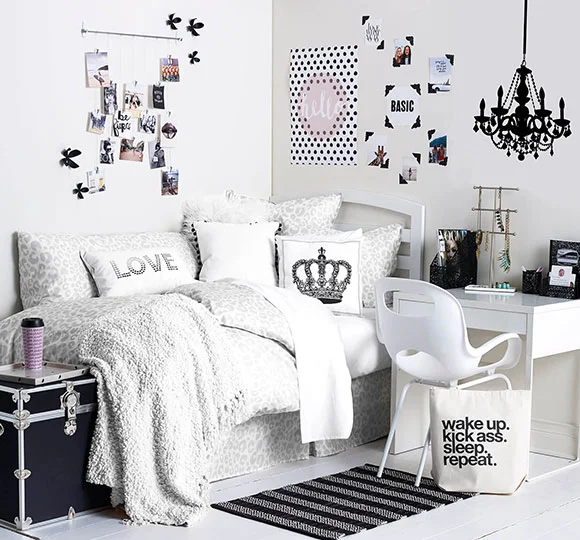 Room_In_Box_Snow_Leopard_38316_PSWork.jpg