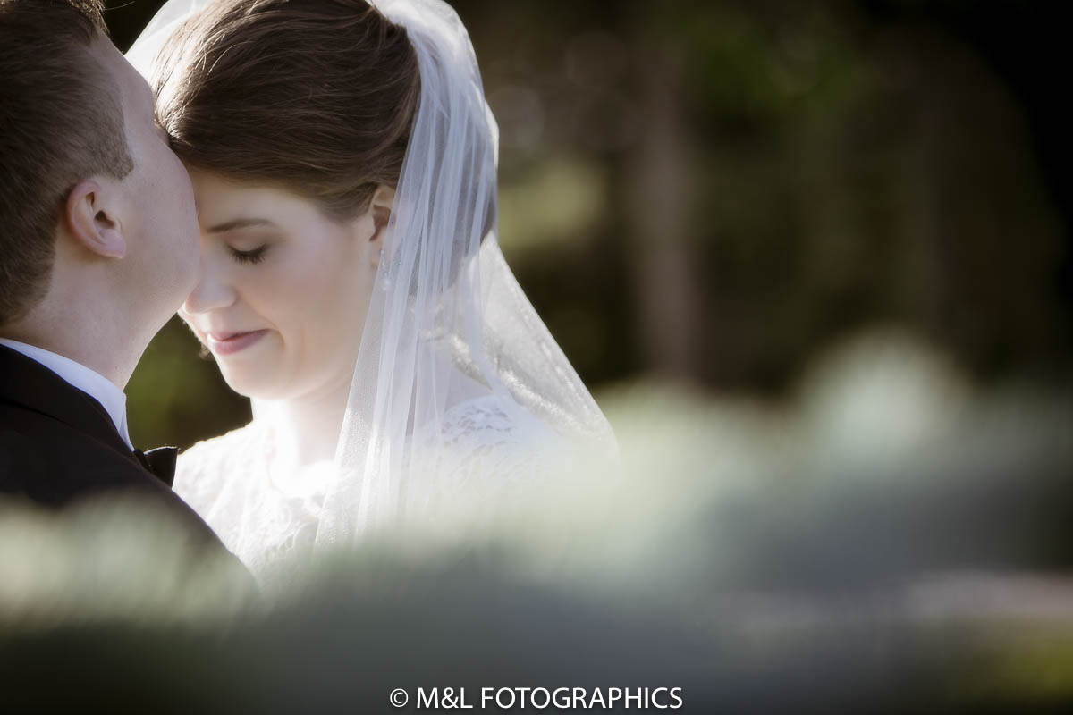 IMG_1461-Edit.jpg